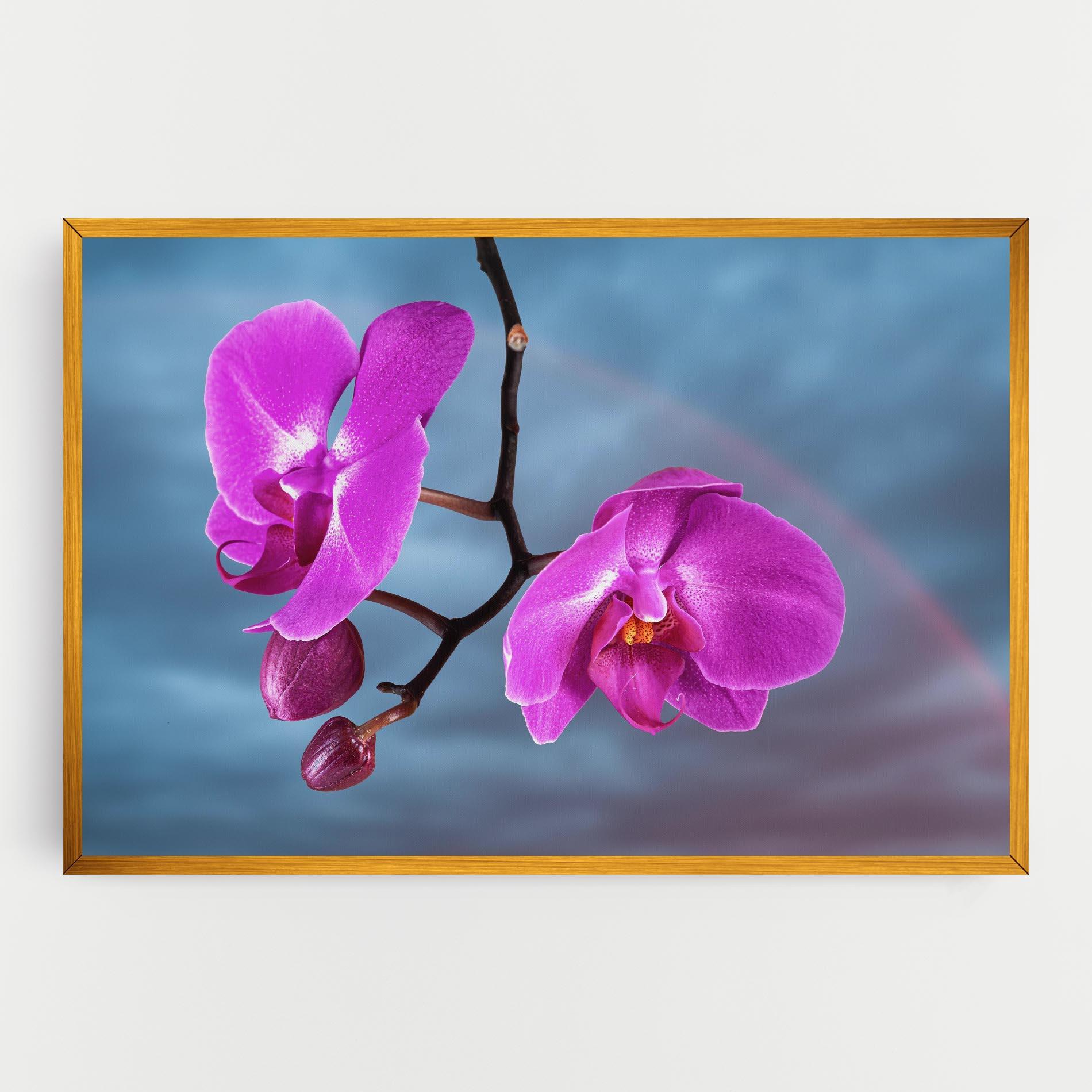 Vászonkép Sky Purple Orchid mockup 0