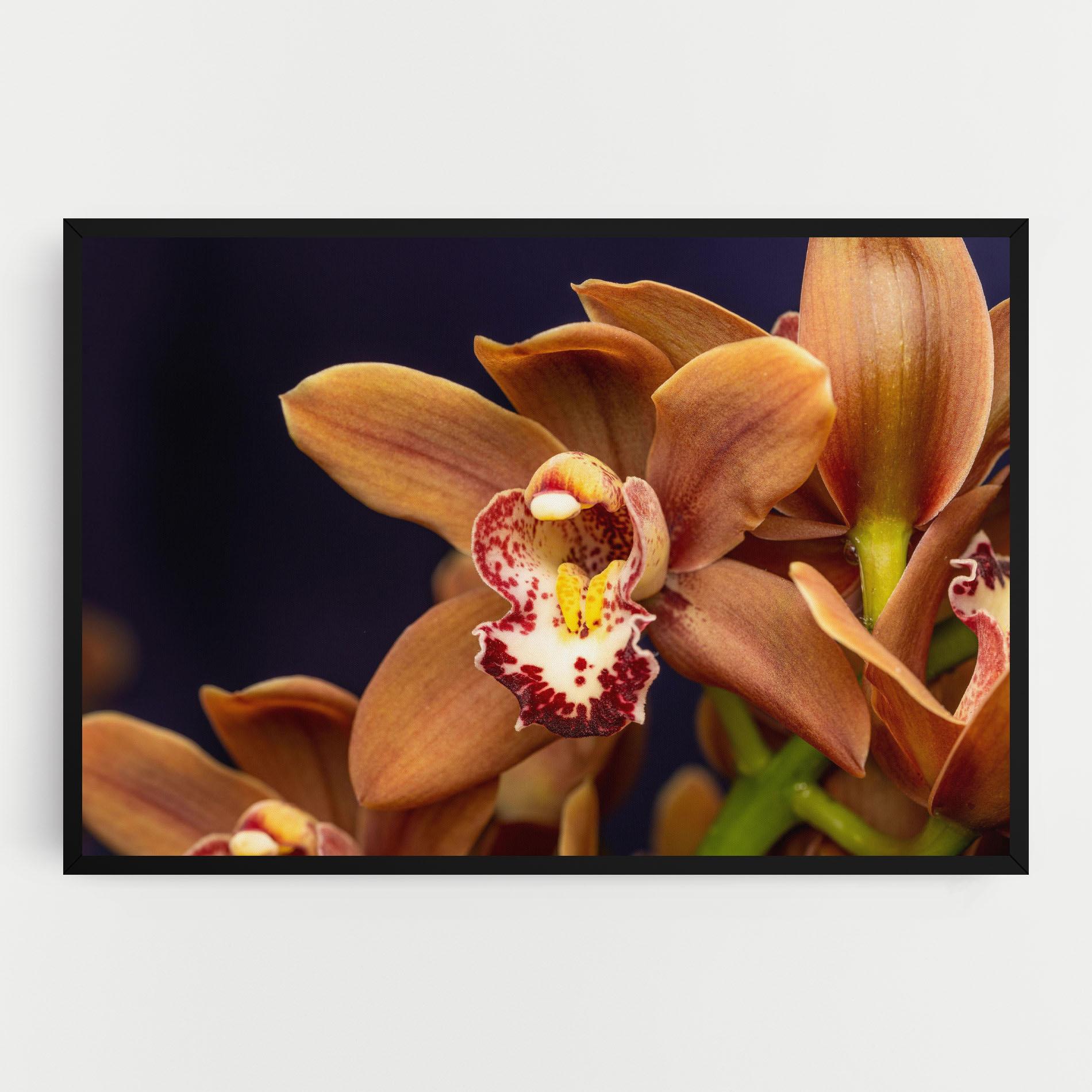 Vászonkép Dirty Orange Orchid mockup 0
