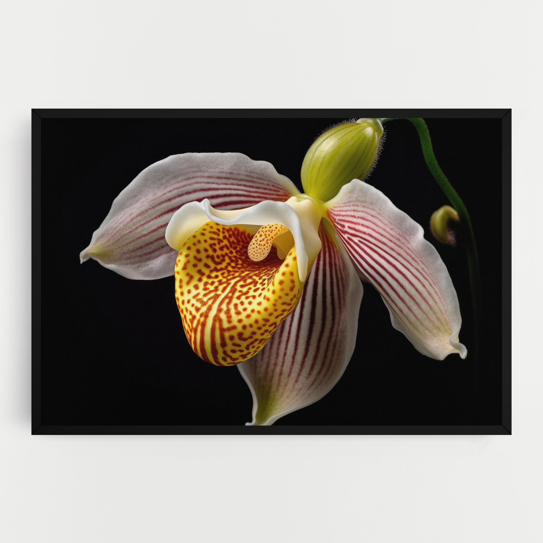 Orchid On Black mockup 0