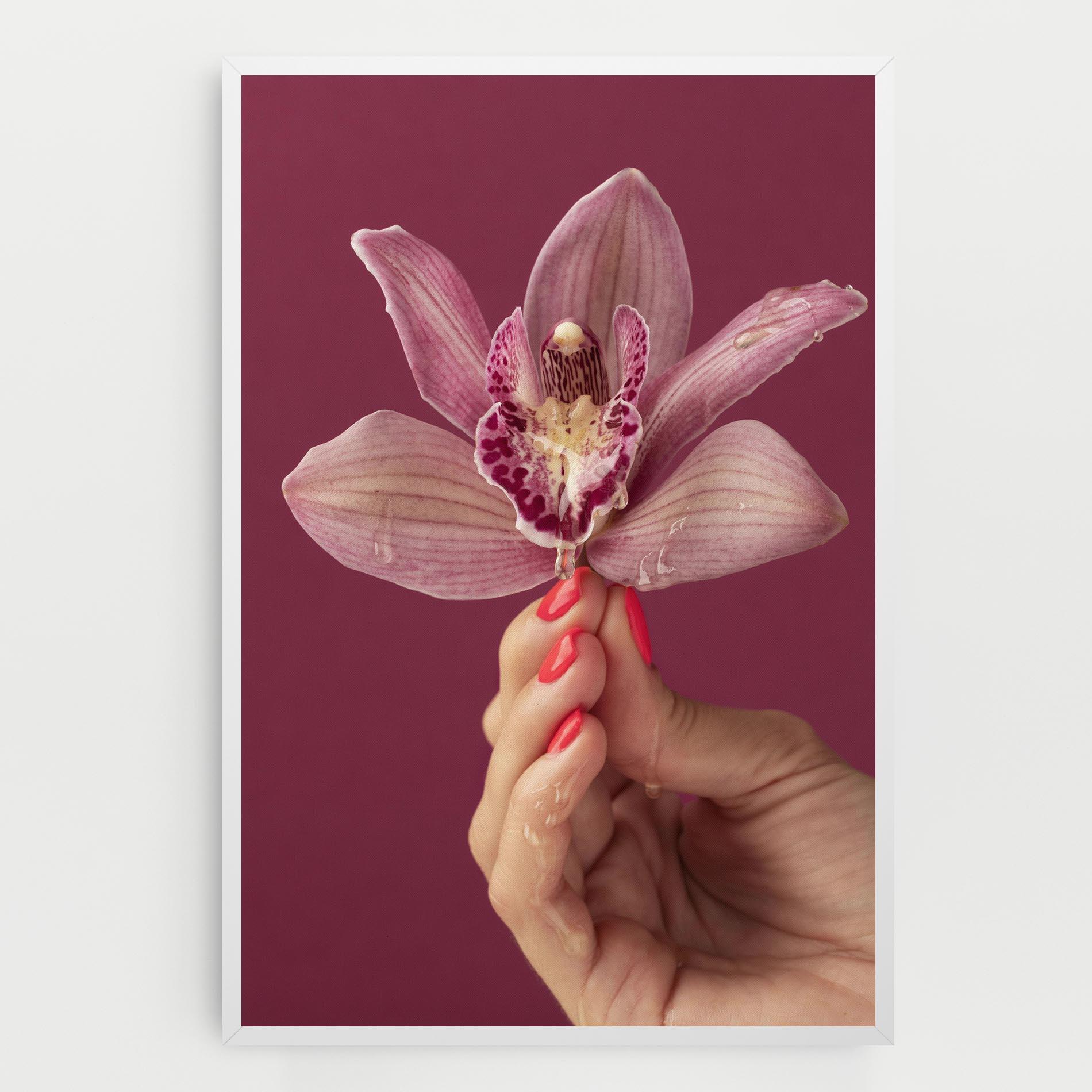 Vászonkép Orchid Holding mockup 0
