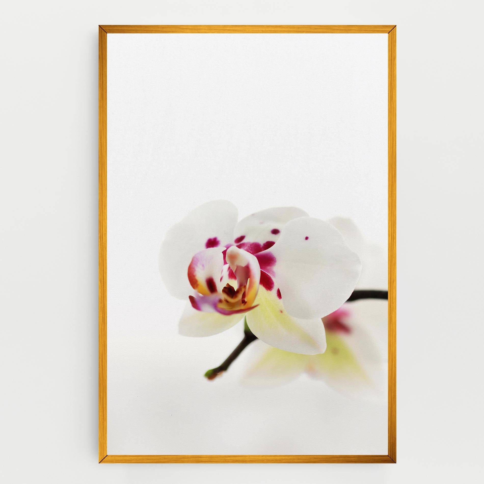 Clean White Orchid mockup 0