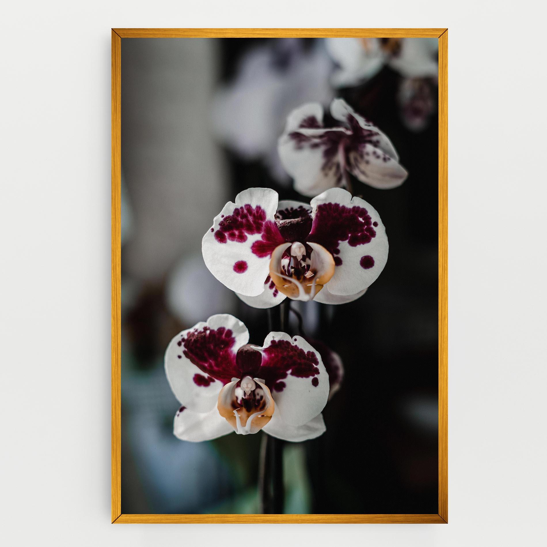Vászonkép Dark Purple Orchid mockup 0
