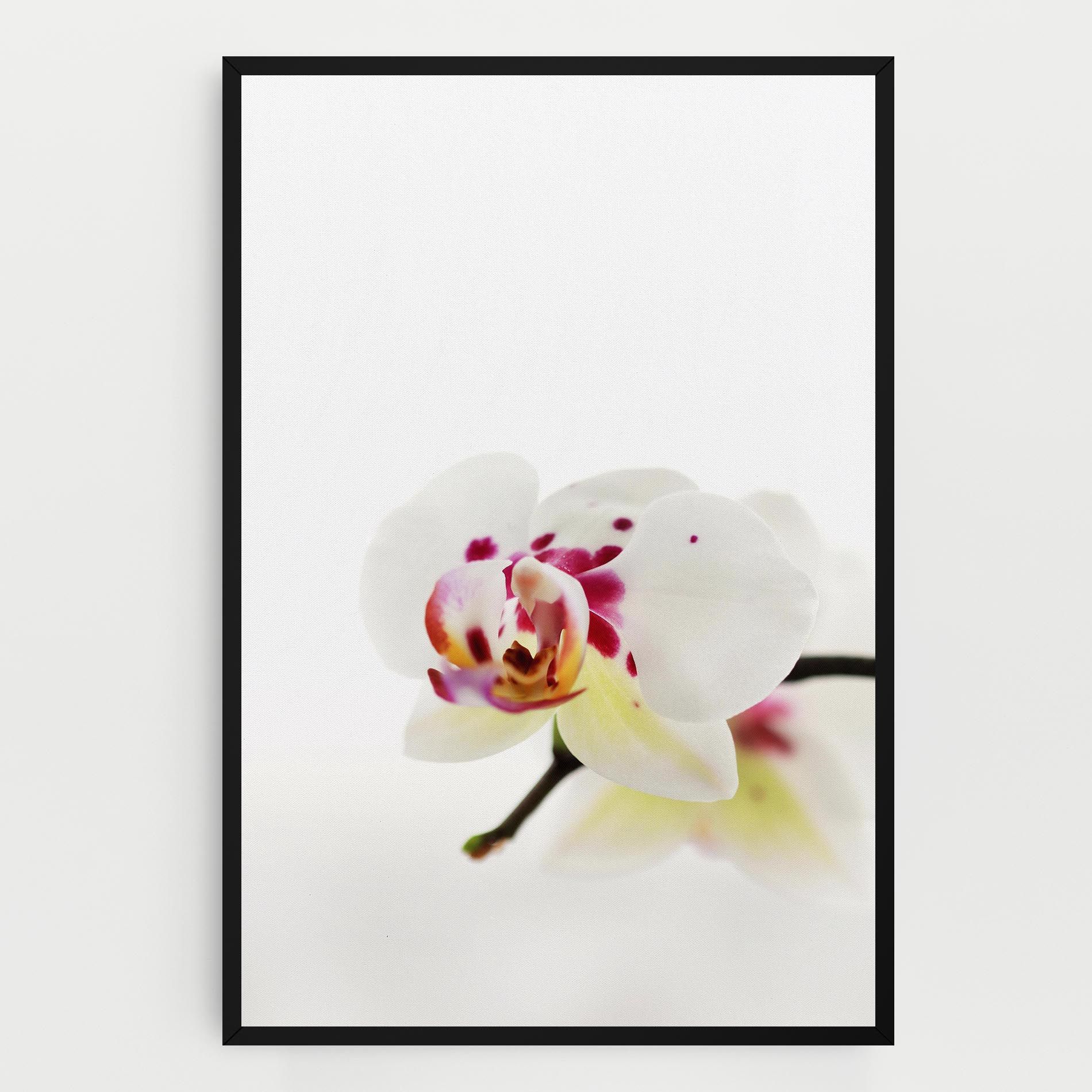 Clean White Orchid mockup 0