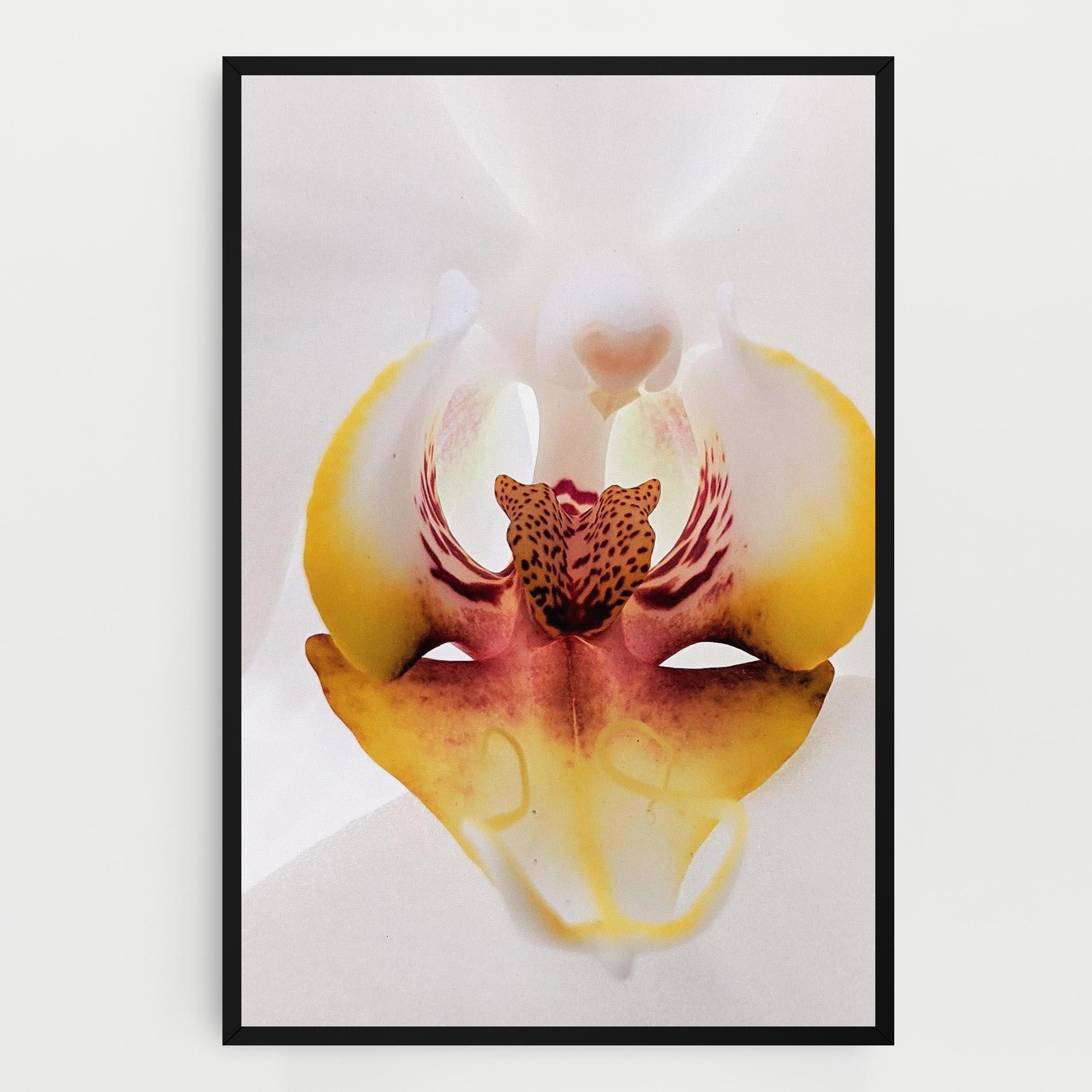 Vászonkép Orchid Close Up mockup 0