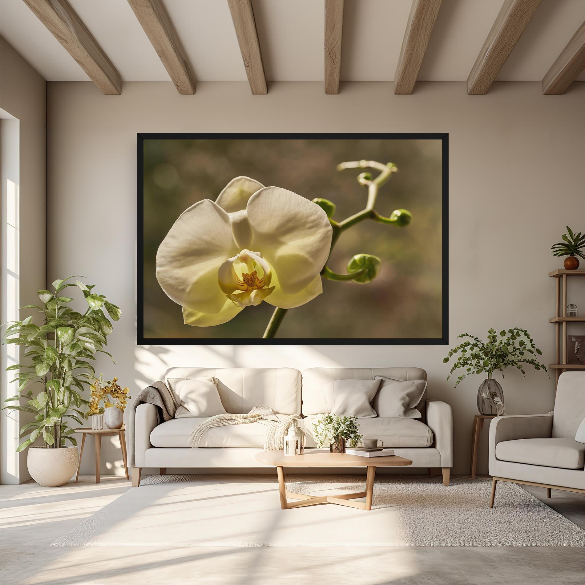 Vászonkép Pastel Yellow Orchid In Garden mockup 6