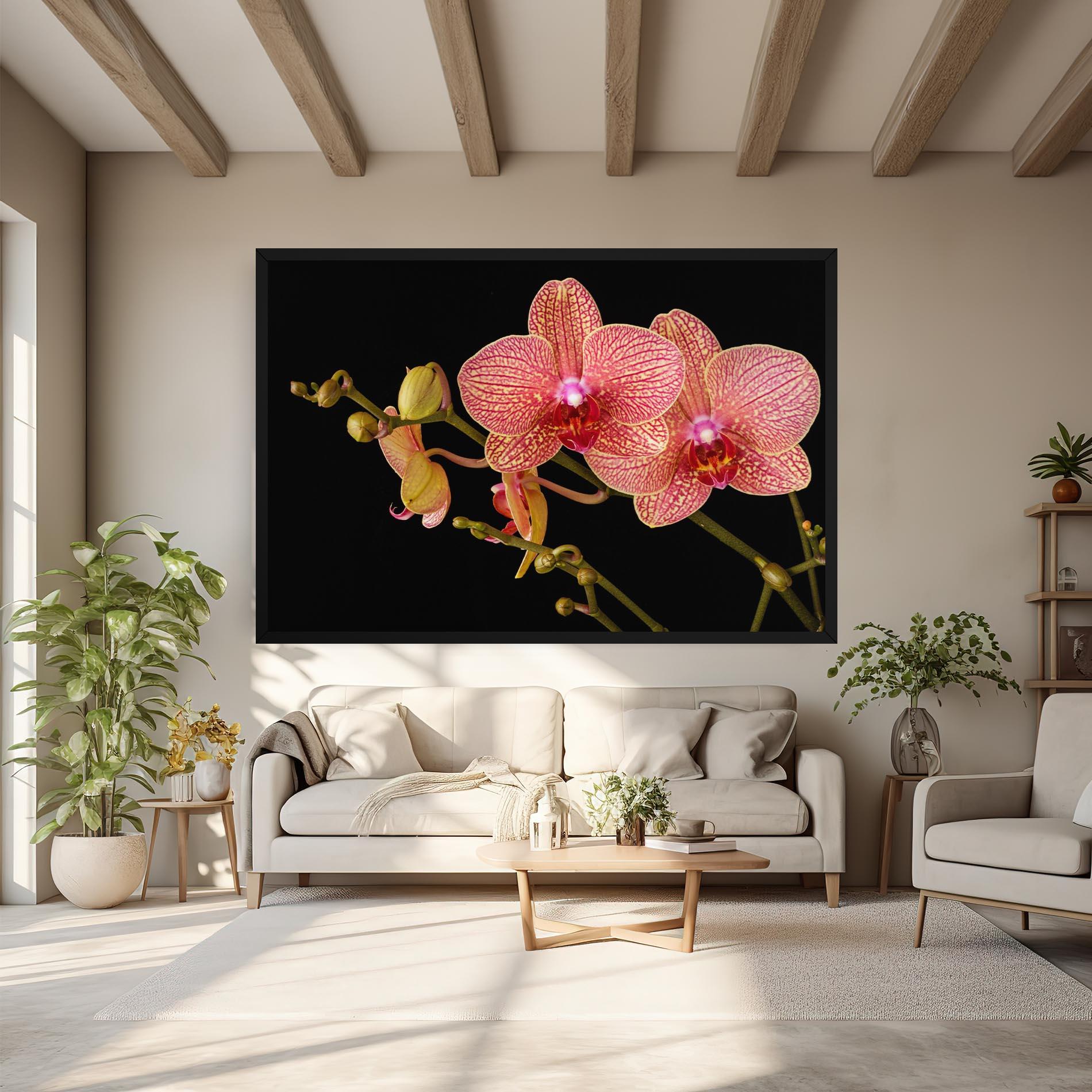 Vászonkép Pink Orchids On Black mockup 6