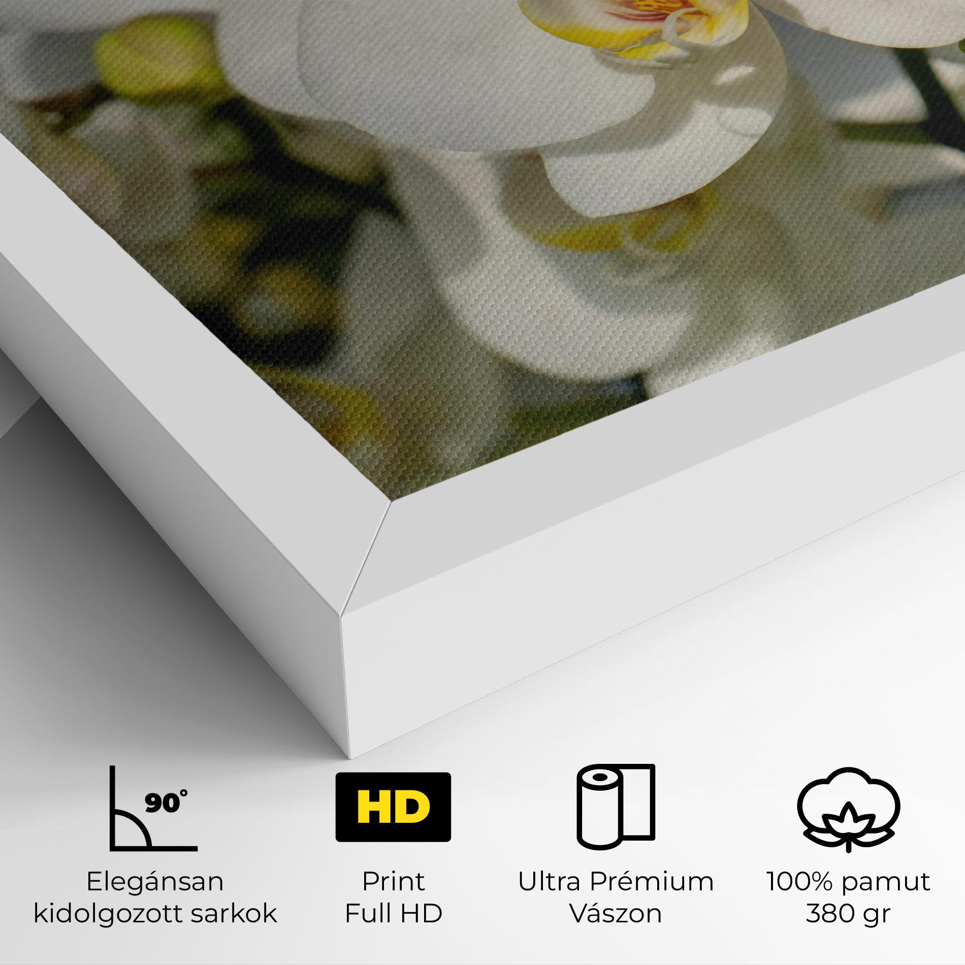 Vászonkép Big Orchids In Nature mockup 4