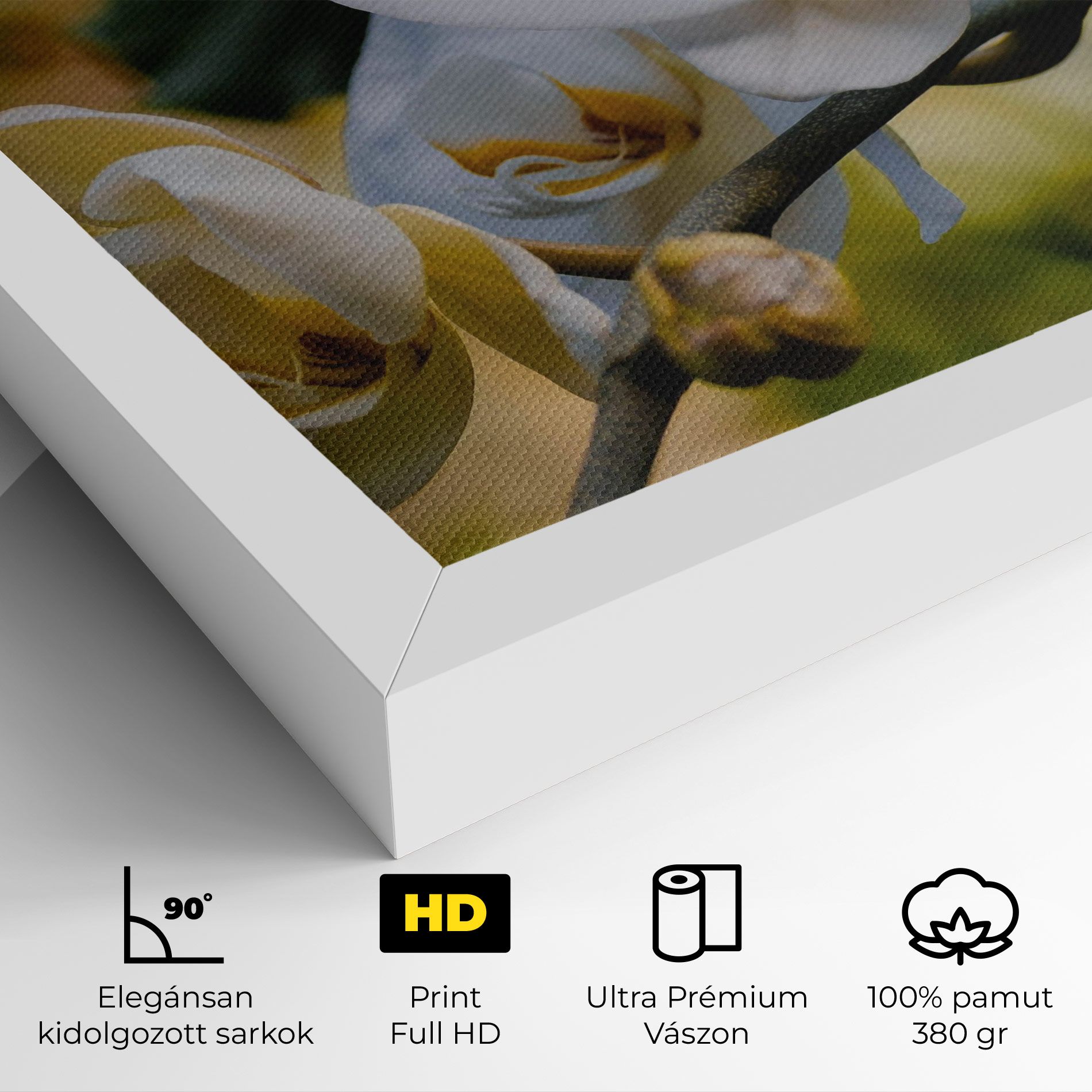 Cream Orchid In Nature mockup 4