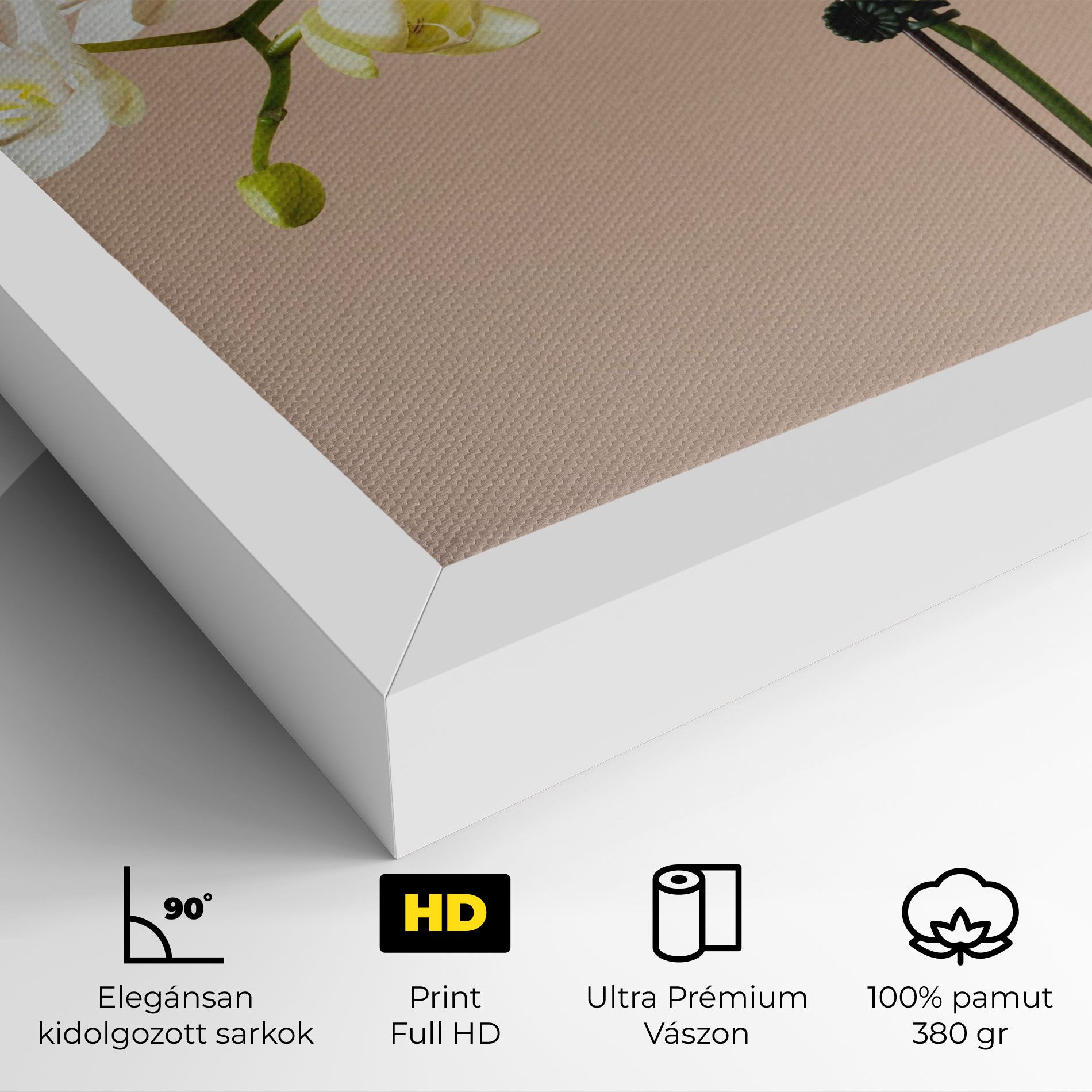 Cream Orchid On Pink mockup 4