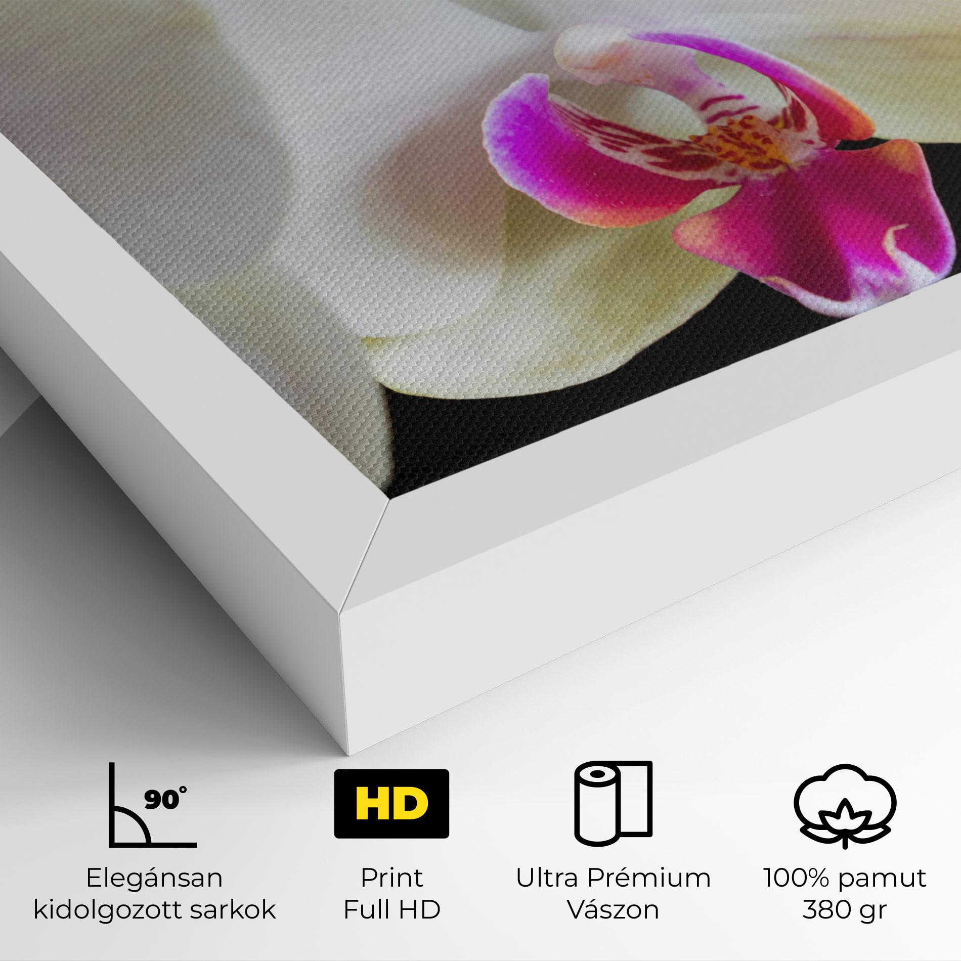Vászonkép Cream Purple Orchids mockup 4