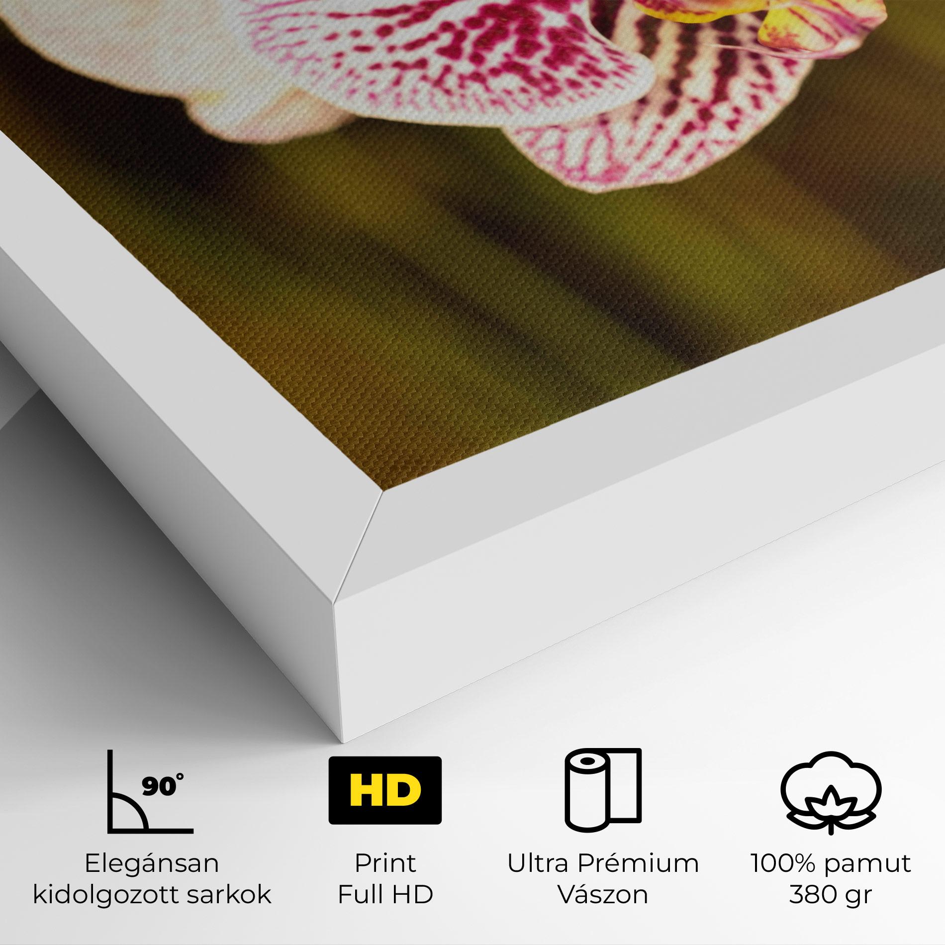 Vászonkép Garden Orchids mockup 4