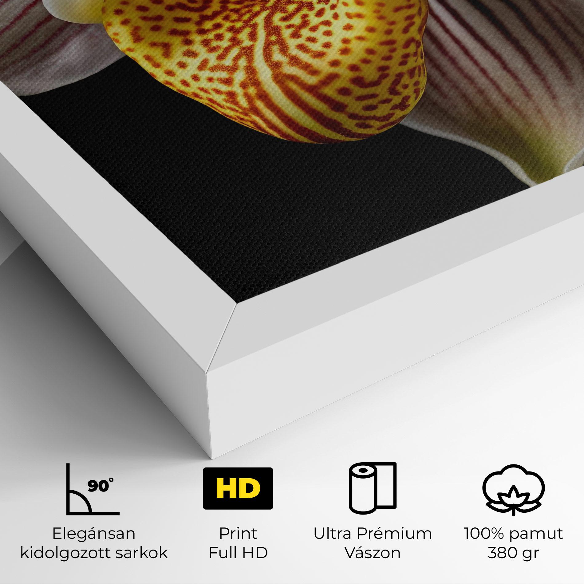 Vászonkép Orchid On Black mockup 4