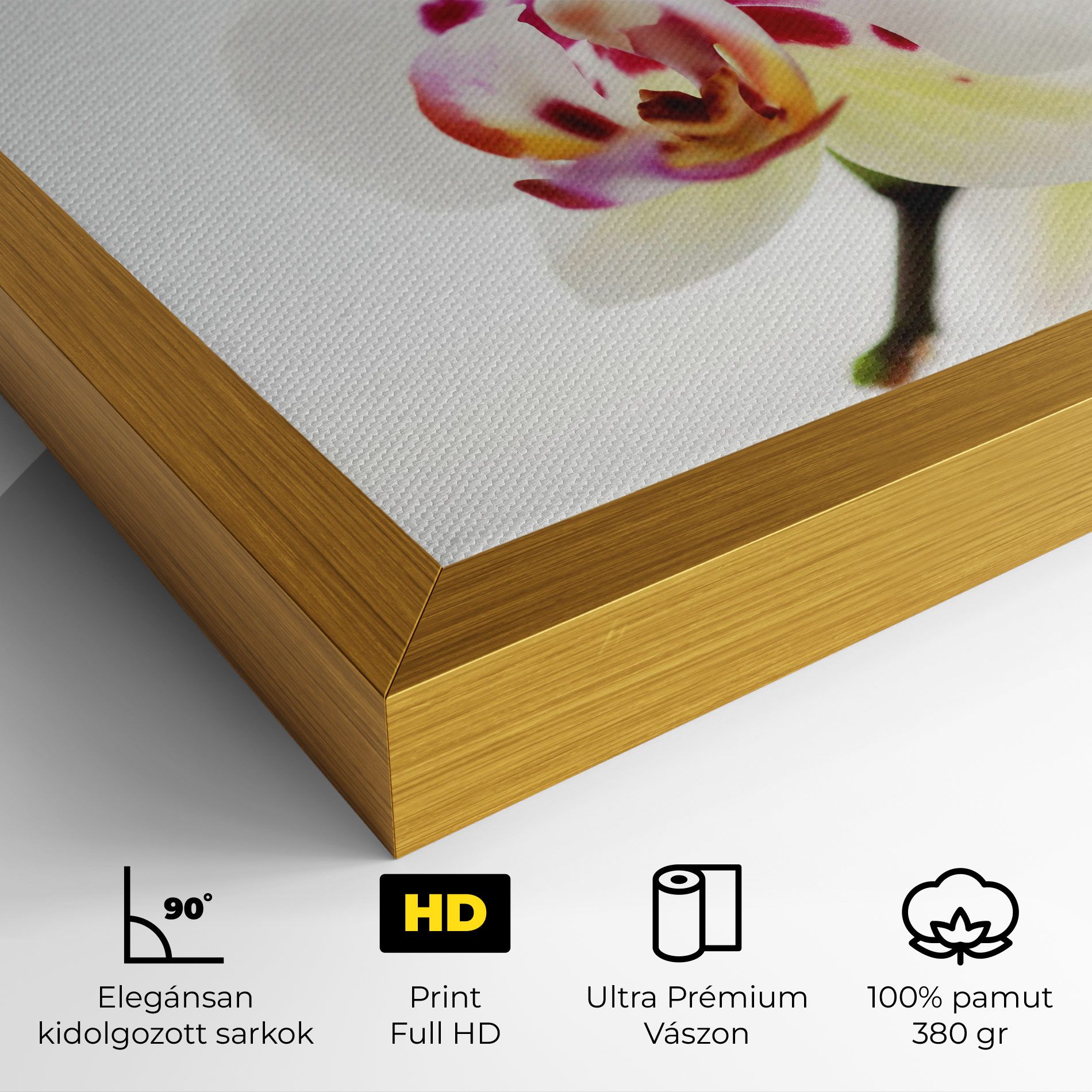 Clean White Orchid mockup 4