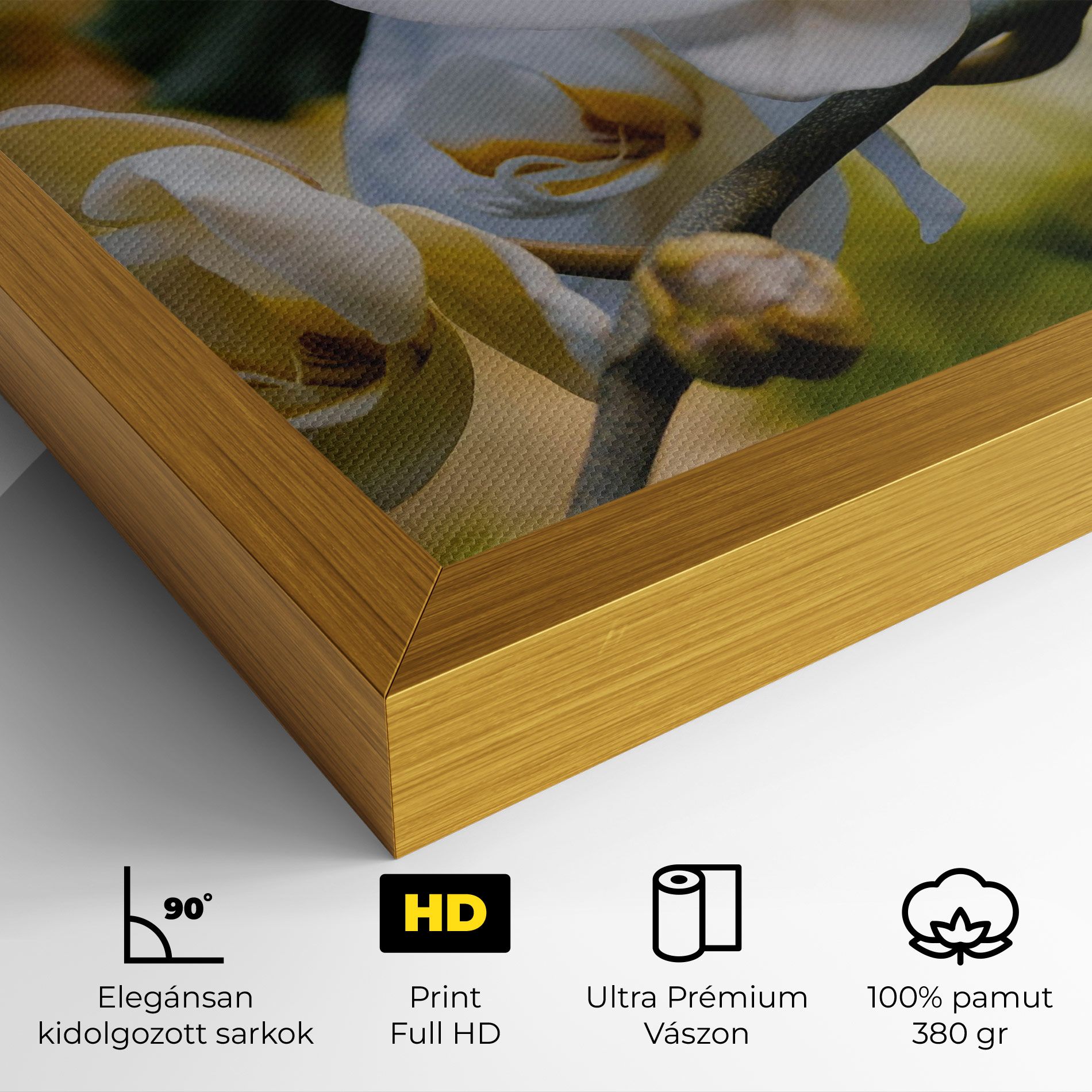 Cream Orchid In Nature mockup 4