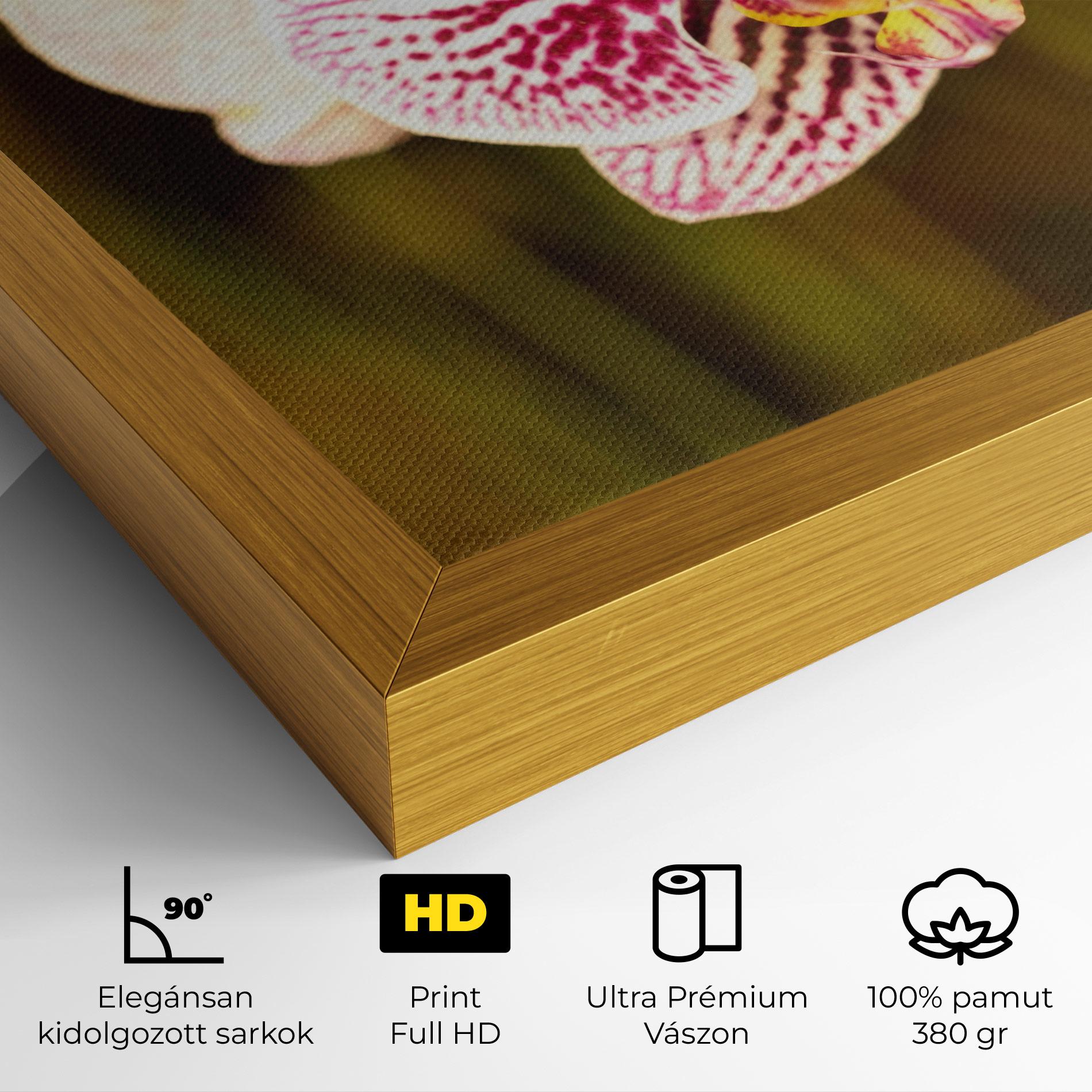 Vászonkép Garden Orchids mockup 4