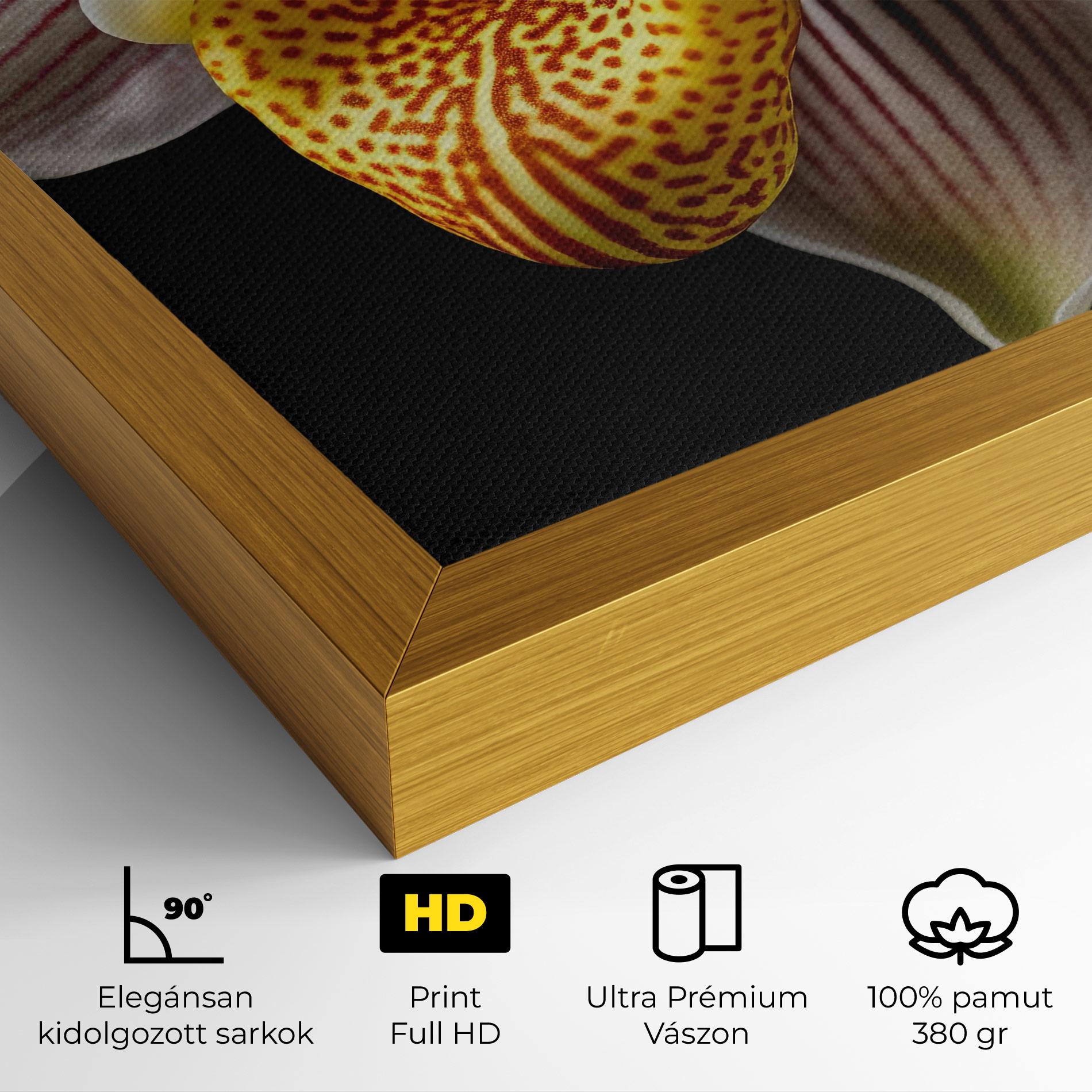 Vászonkép Orchid On Black mockup 4
