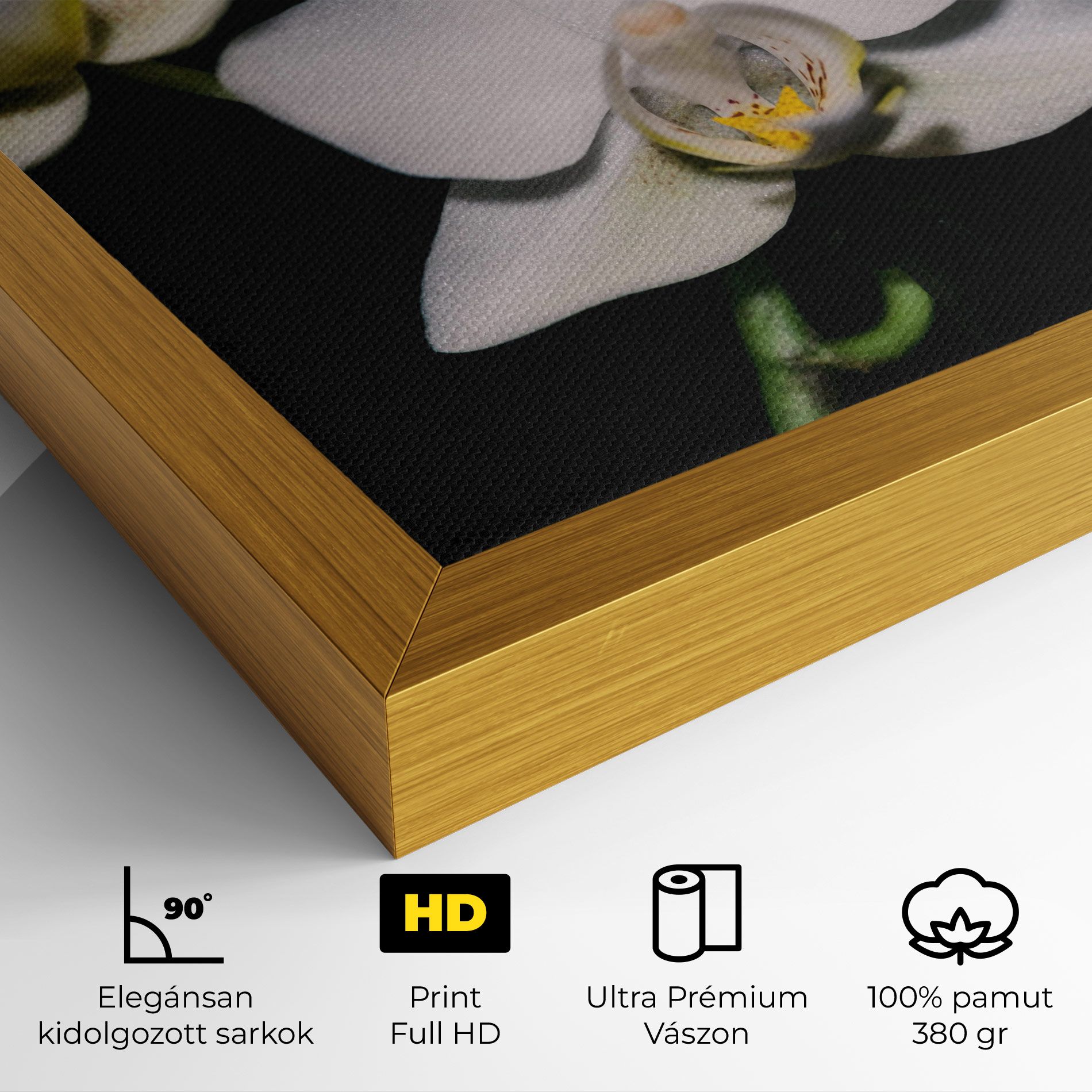 Orchids On Black mockup 4
