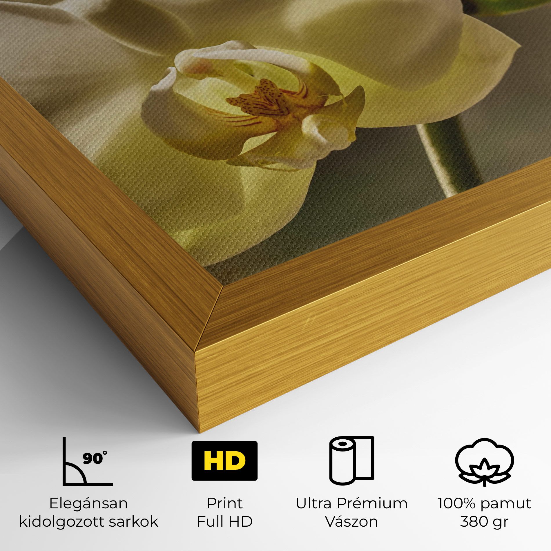 Pastel Yellow Orchid In Garden mockup 4