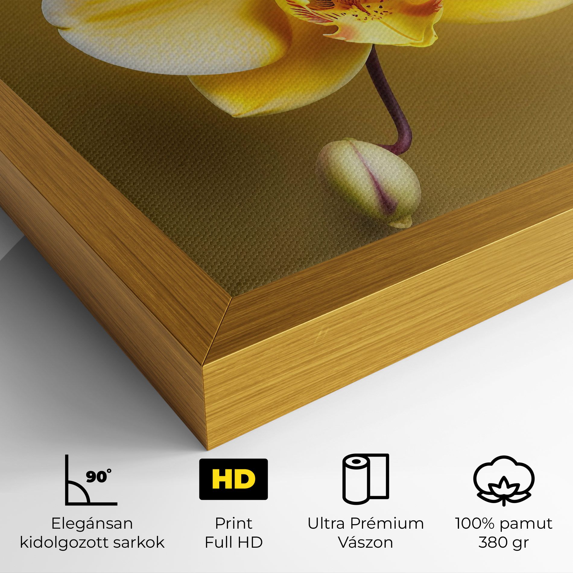 Pastel Yellow Orchid mockup 4