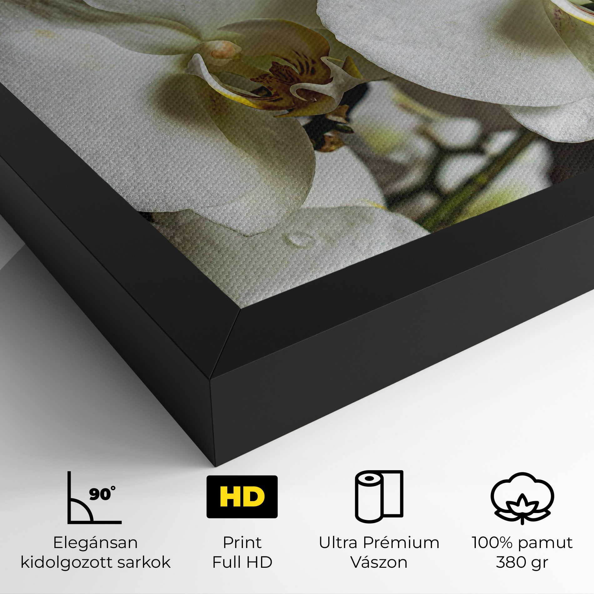 Beautiful White Orchids mockup 4