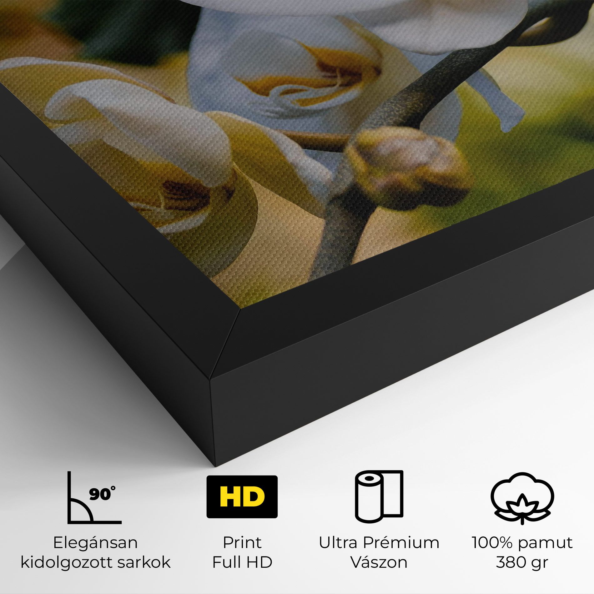 Cream Orchid In Nature mockup 4