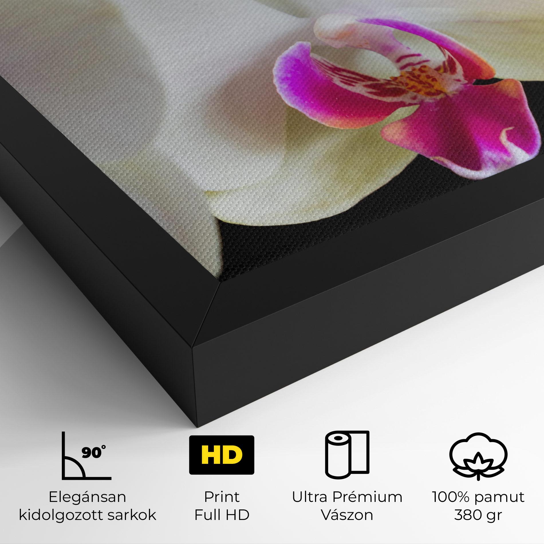 Vászonkép Cream Purple Orchids mockup 4