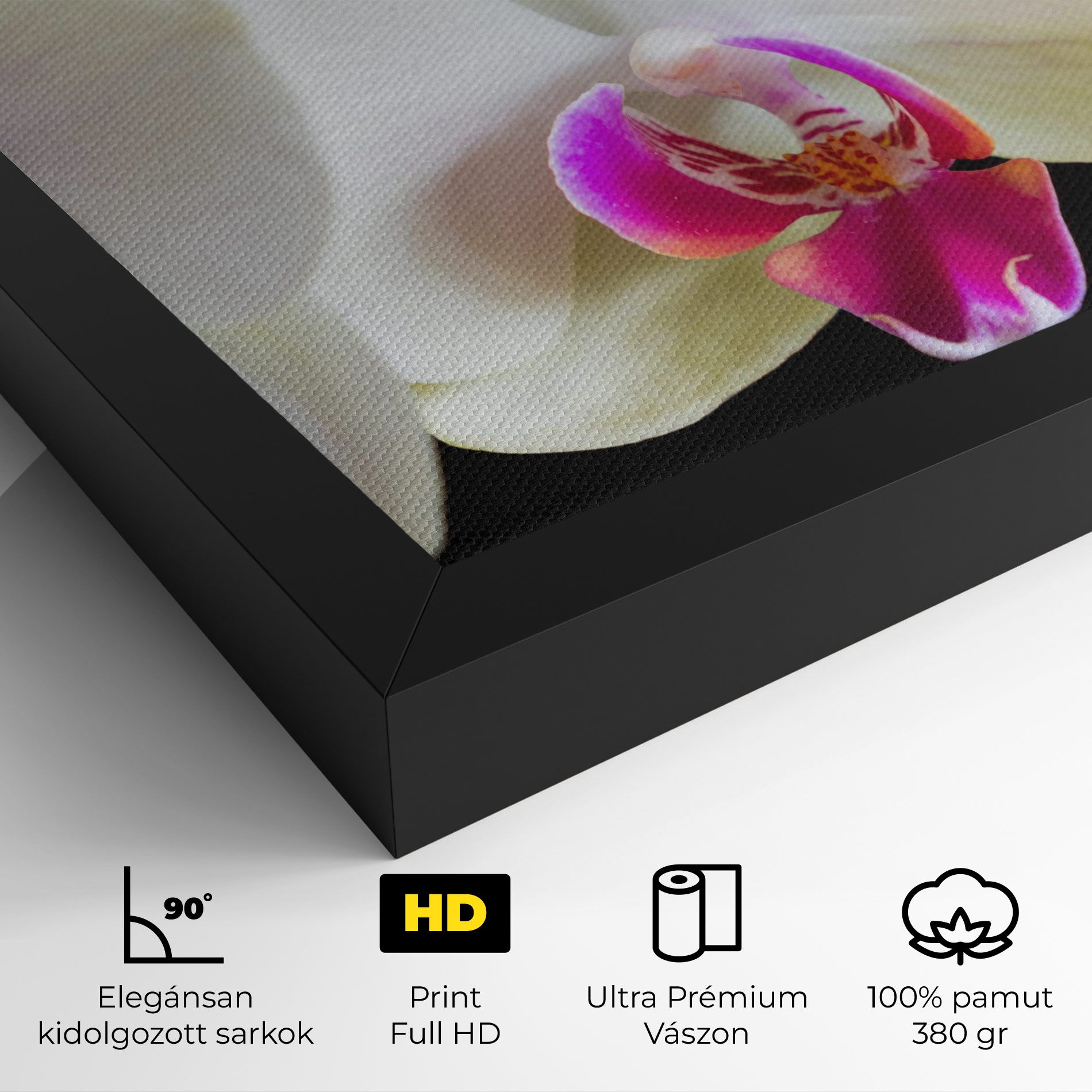 Cream Purple Orchids mockup 4