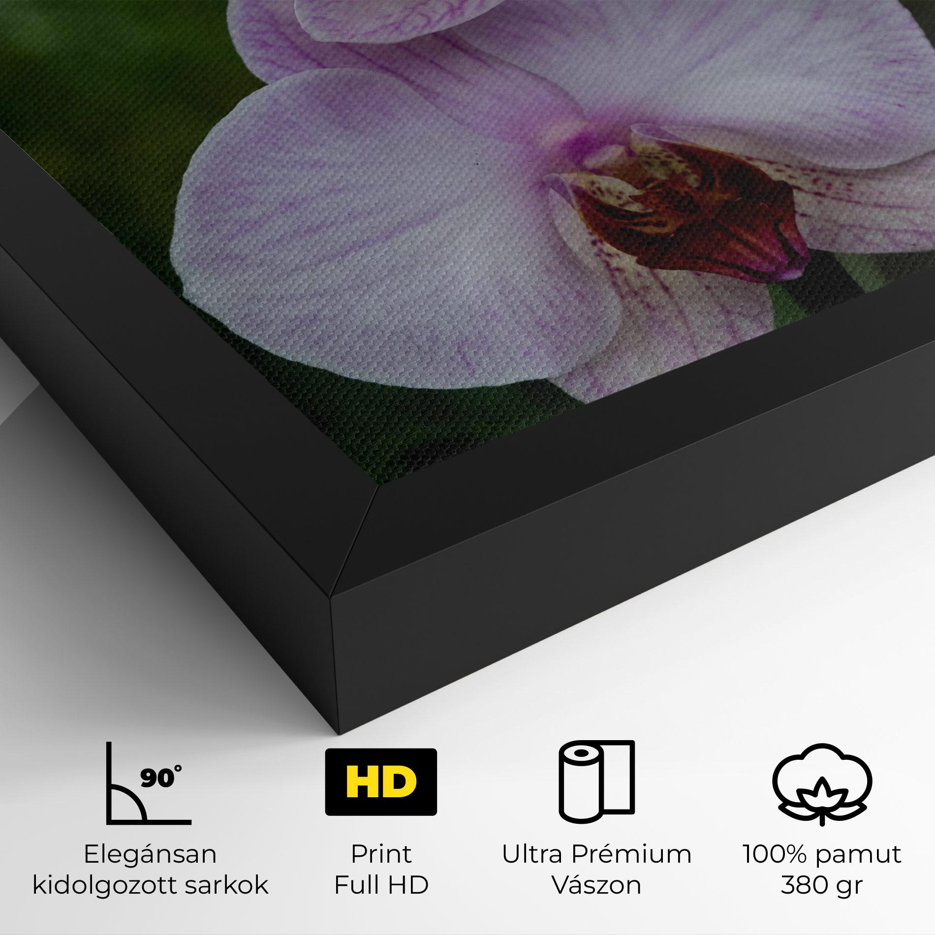 Vászonkép Garden Light Purple Orchid mockup 4