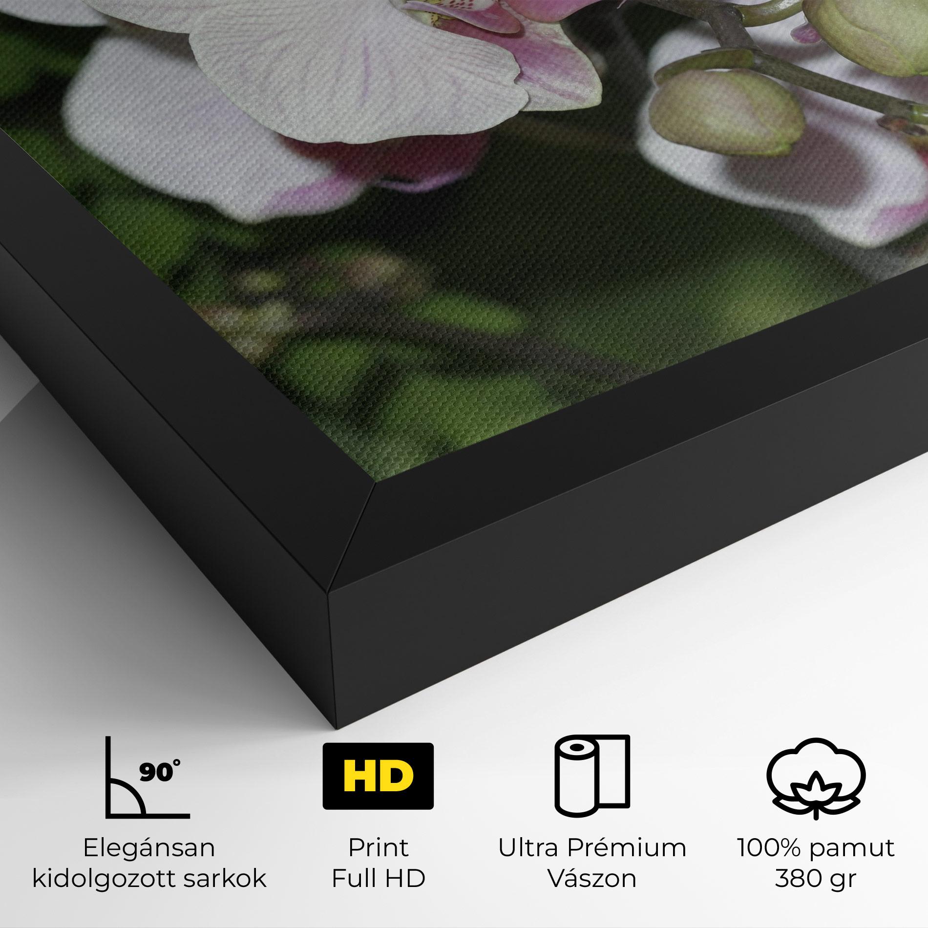 Vászonkép Orchid Botanical Garden mockup 4