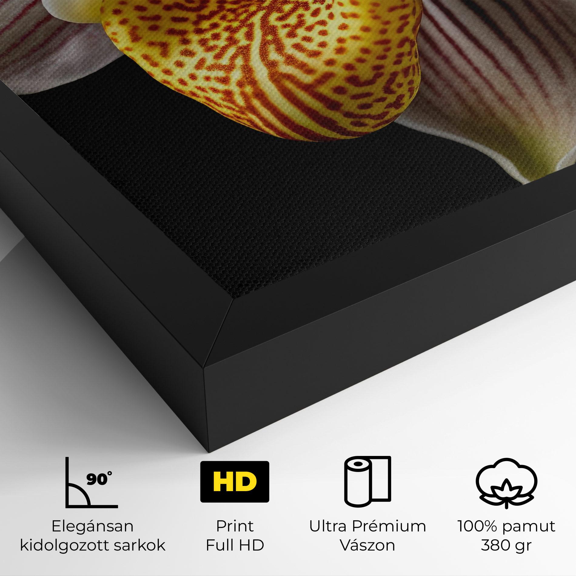 Vászonkép Orchid On Black mockup 4
