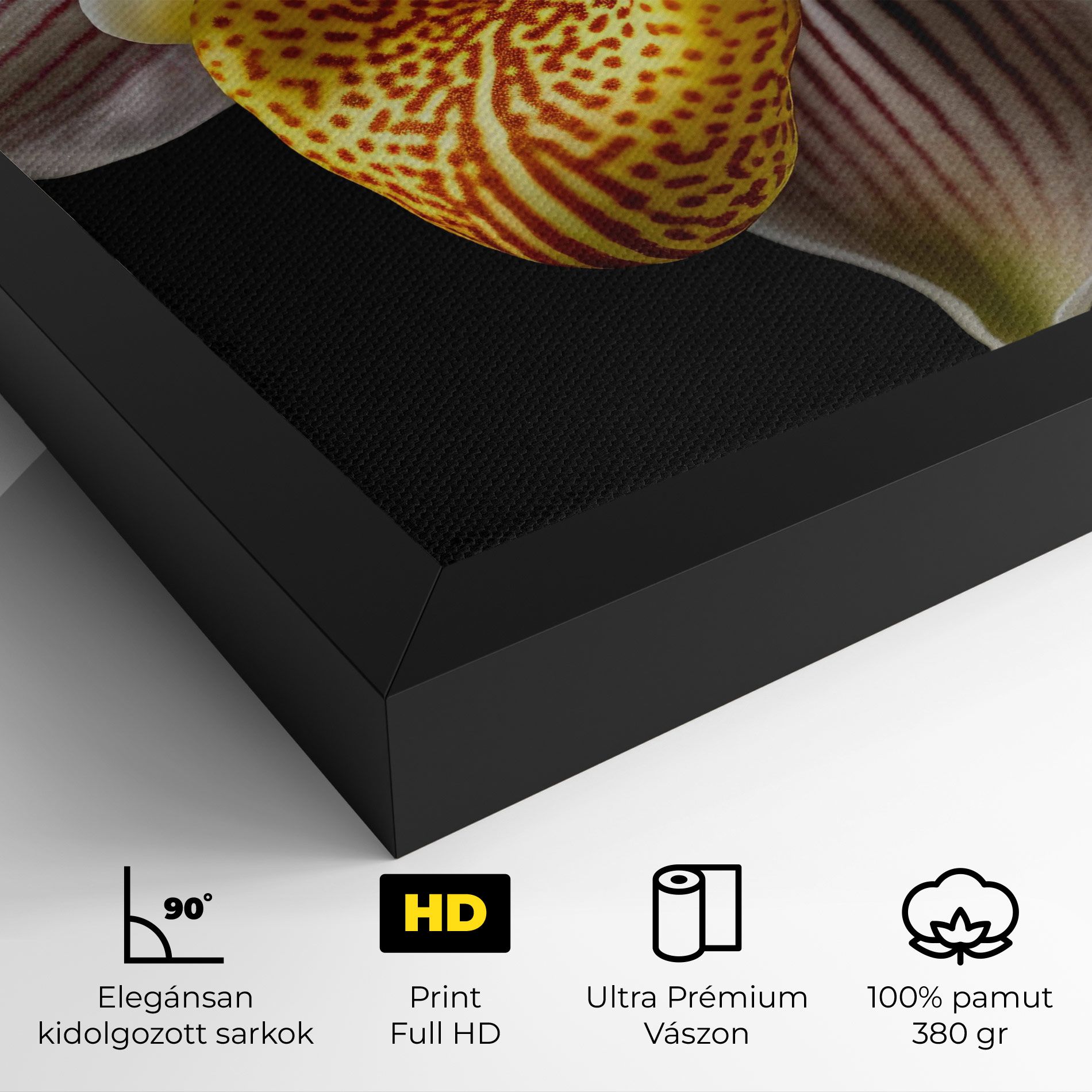 Orchid On Black mockup 4