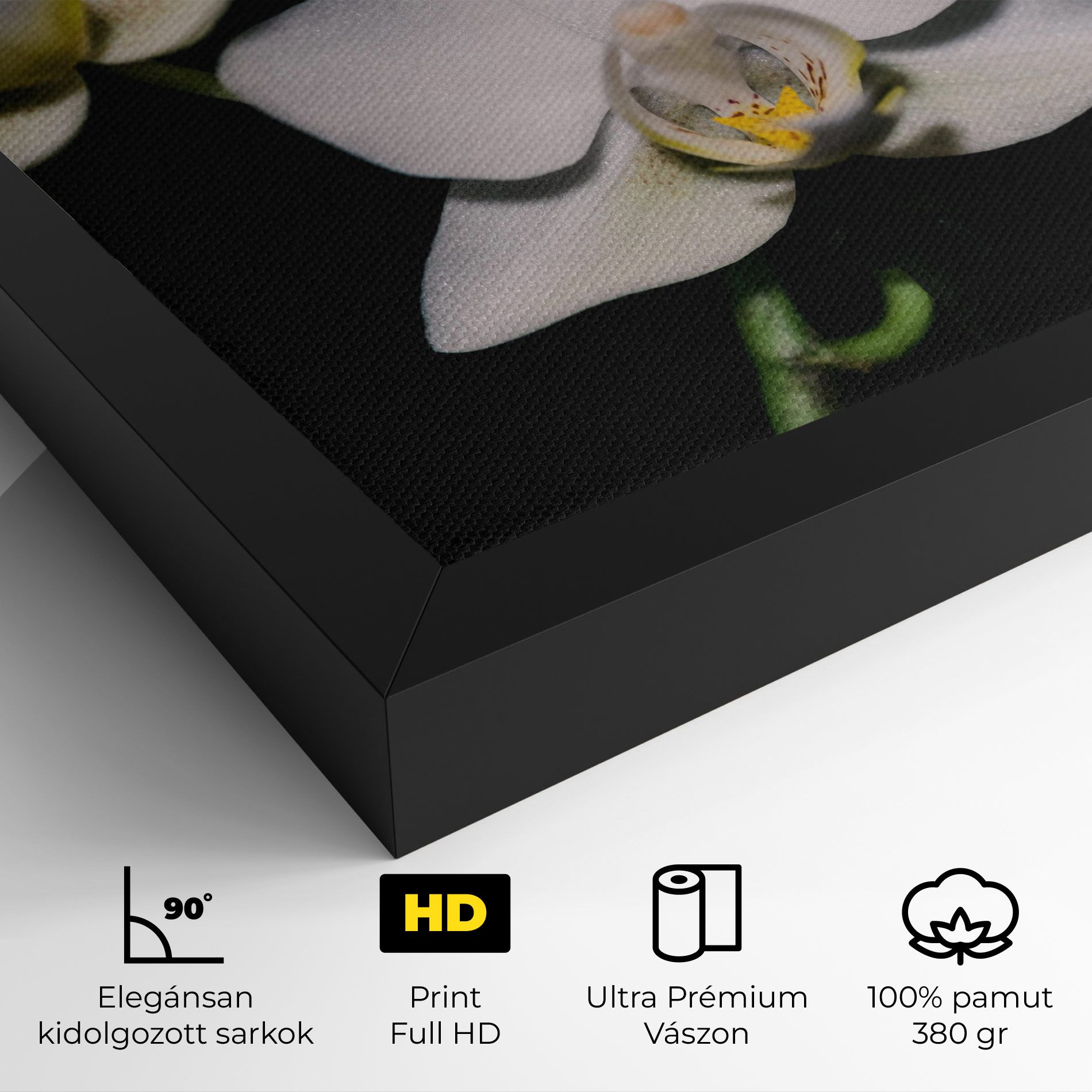 Orchids On Black mockup 4