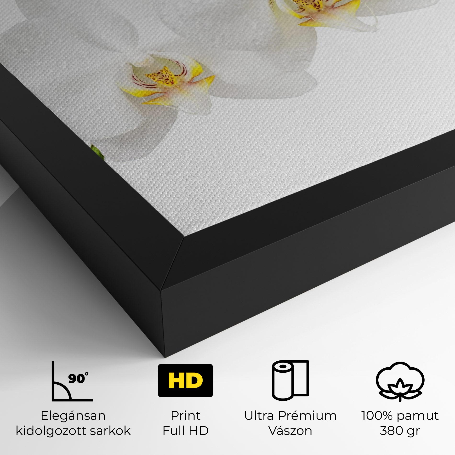 Vászonkép Orchids On White mockup 4