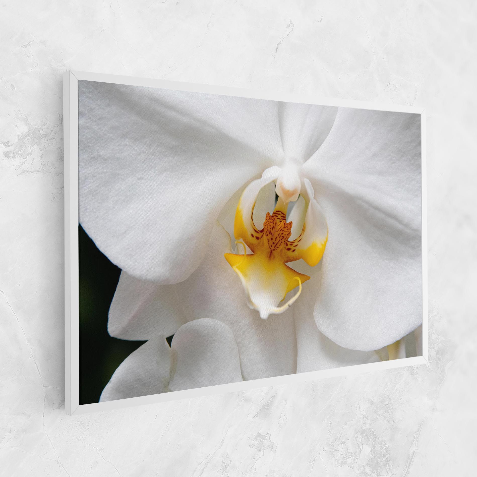 Big Orchid Close Up mockup 1