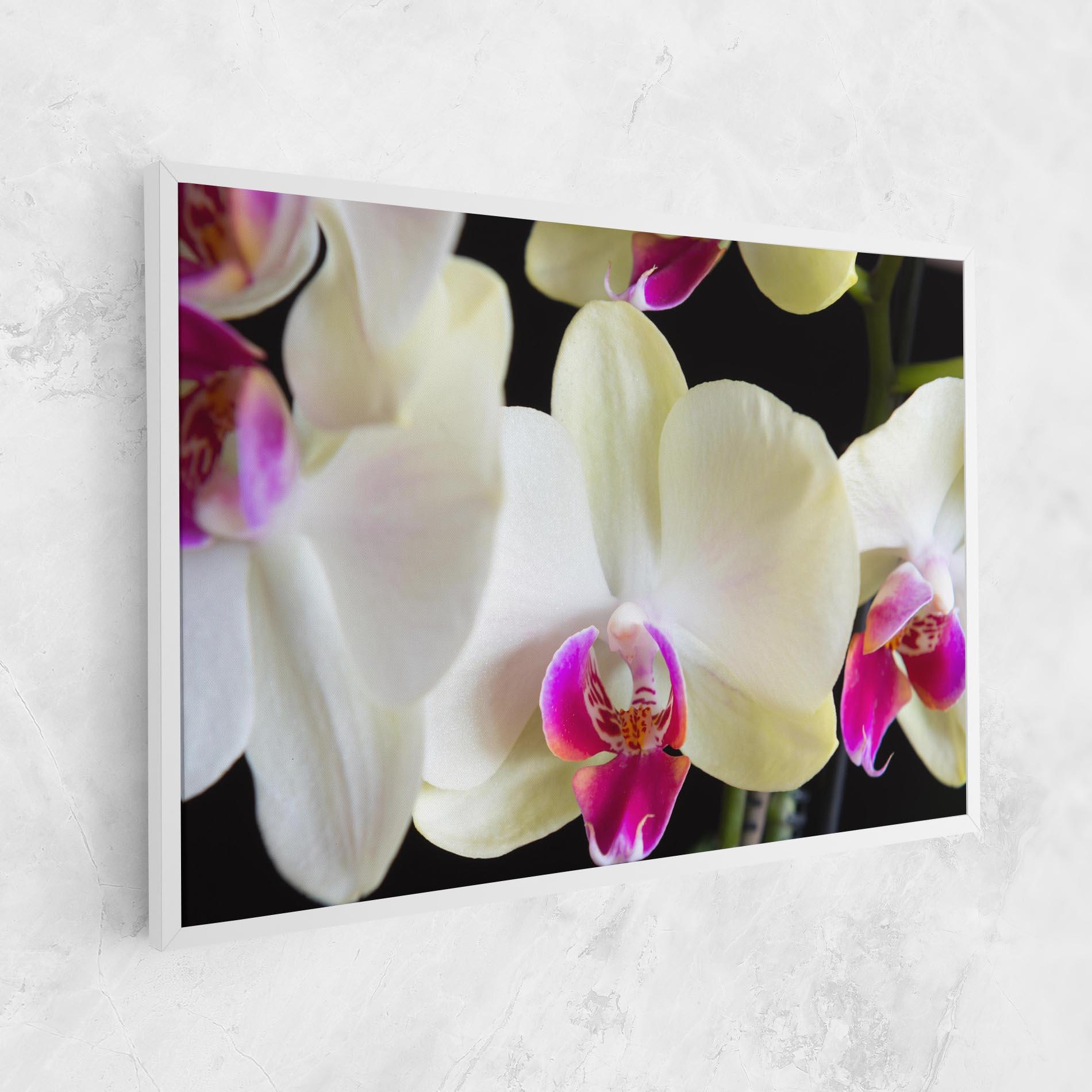 Vászonkép Cream Purple Orchids mockup 1