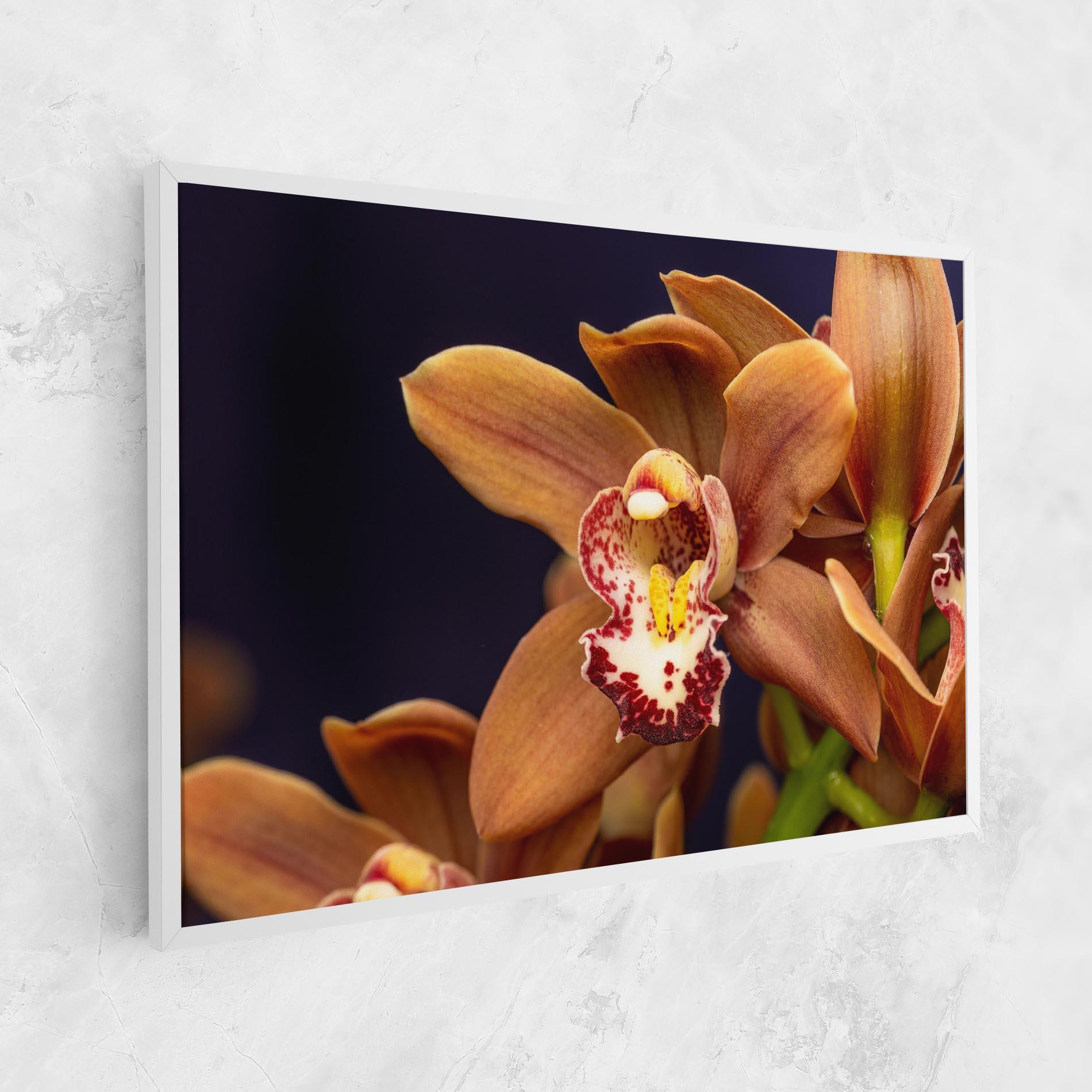 Vászonkép Dirty Orange Orchid mockup 1