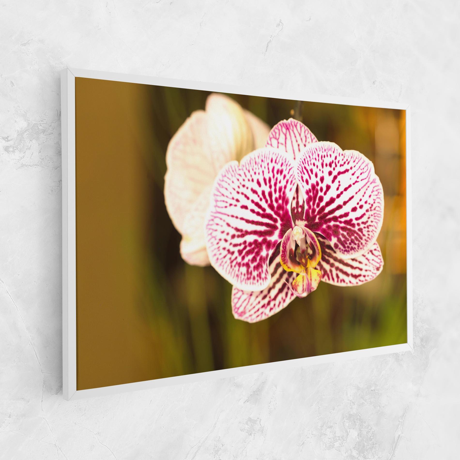 Vászonkép Garden Orchids mockup 1