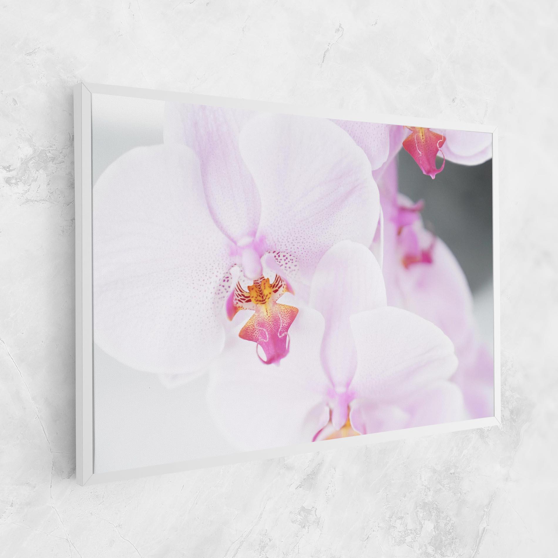 Vászonkép Light Purple Orchid mockup 1