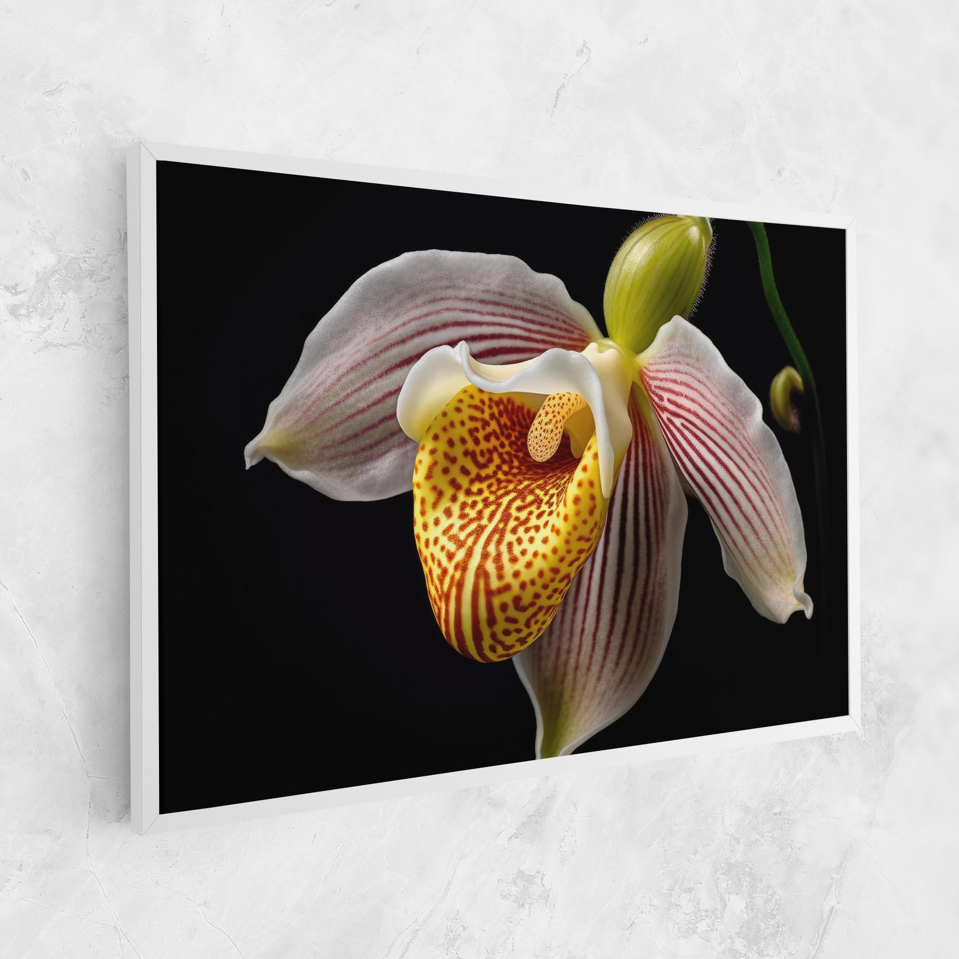 Vászonkép Orchid On Black mockup 1