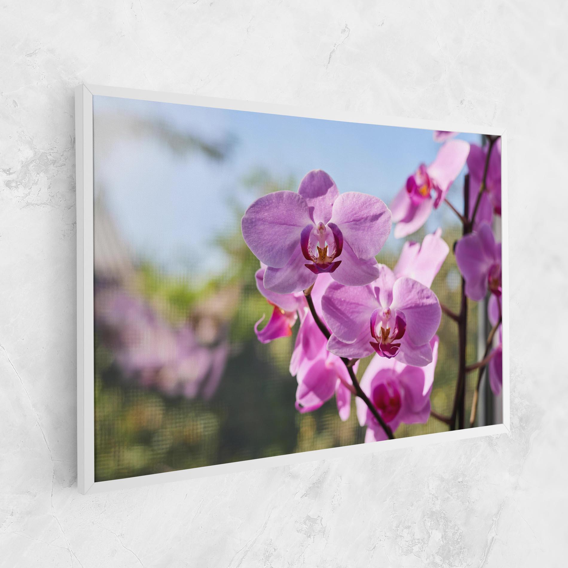 Vászonkép Orchids In The Garden mockup 1