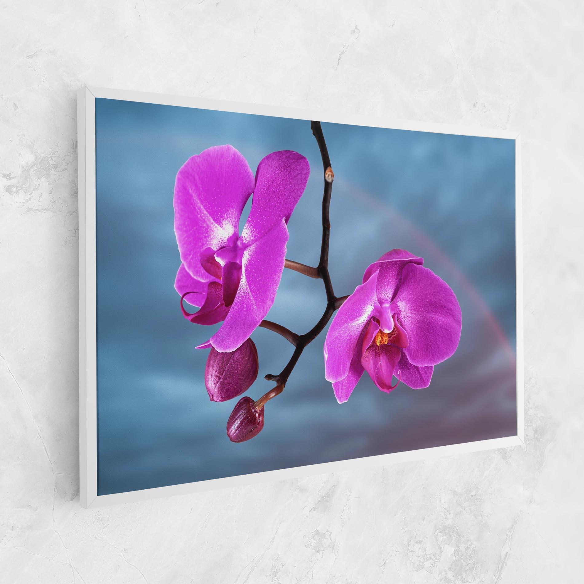 Vászonkép Sky Purple Orchid mockup 1