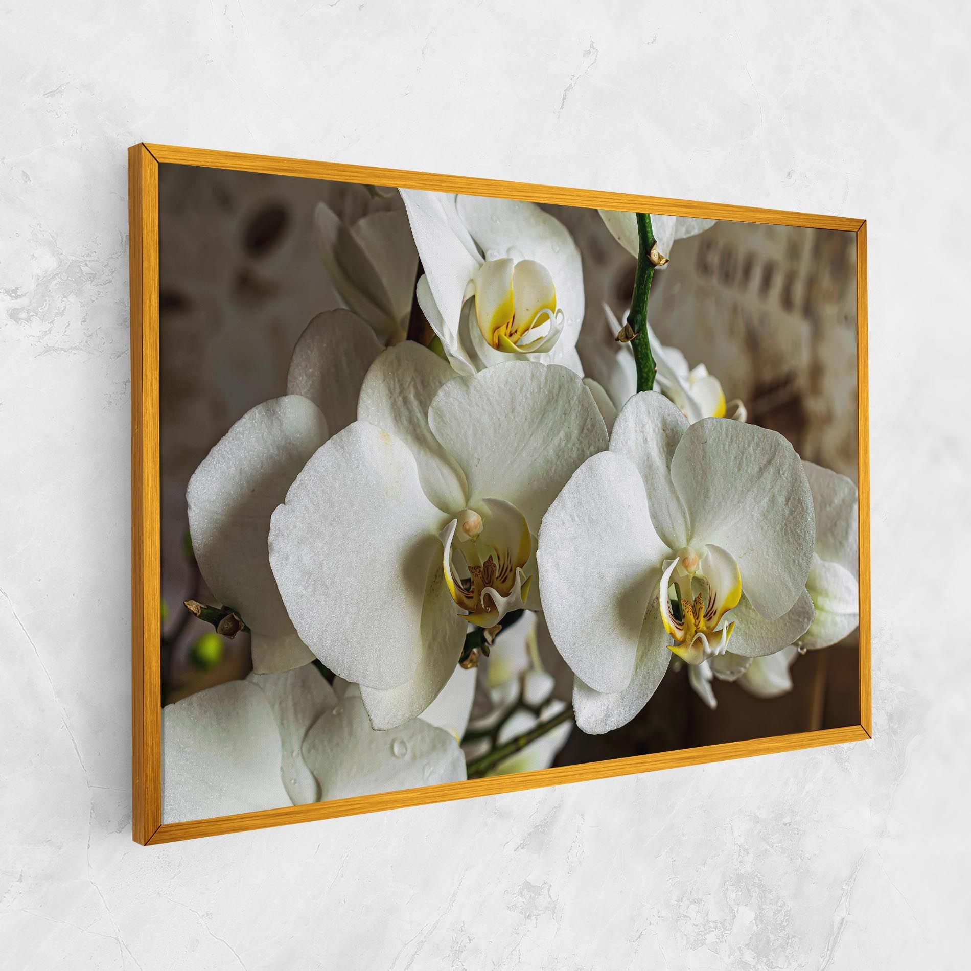 Beautiful White Orchids mockup 1
