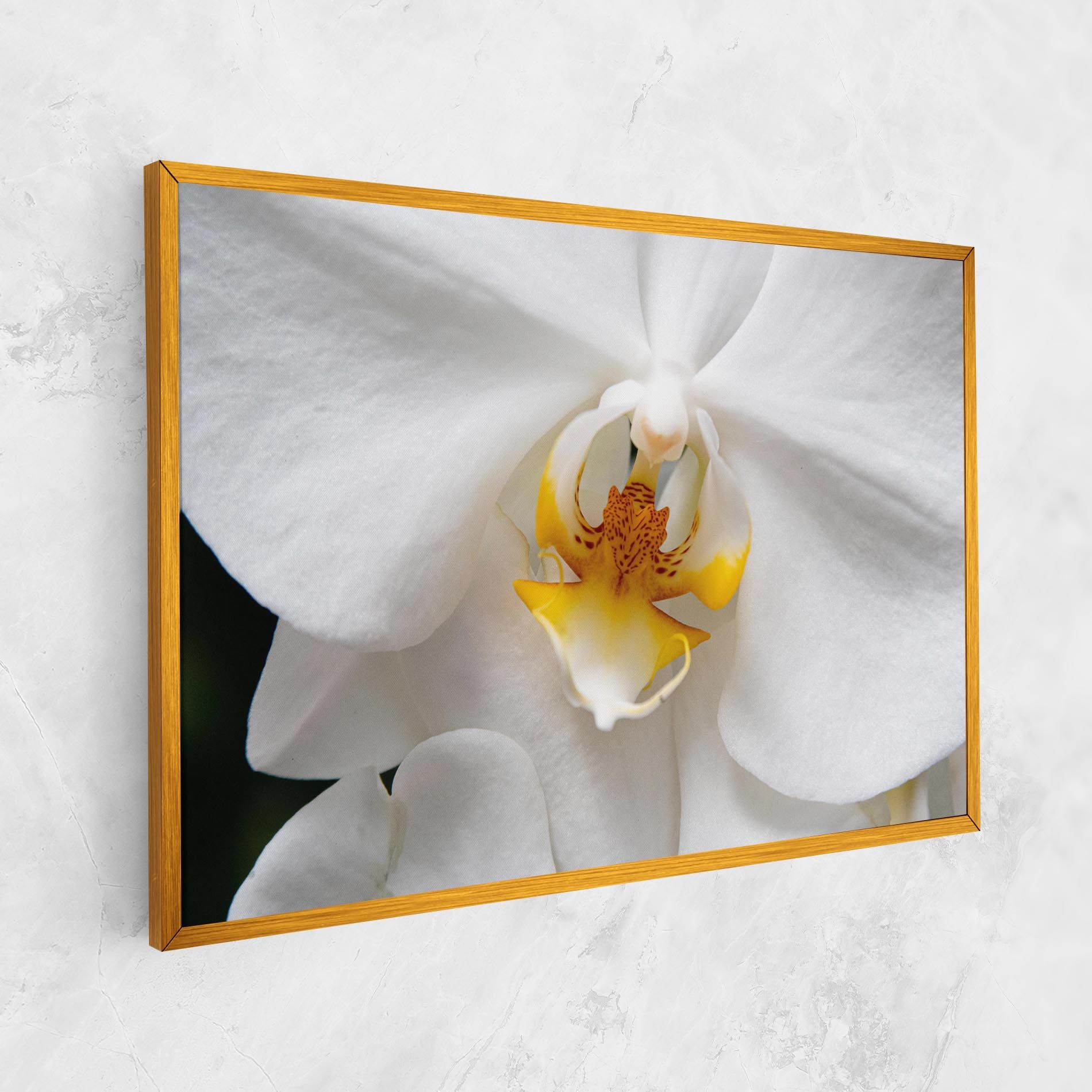 Big Orchid Close Up mockup 1