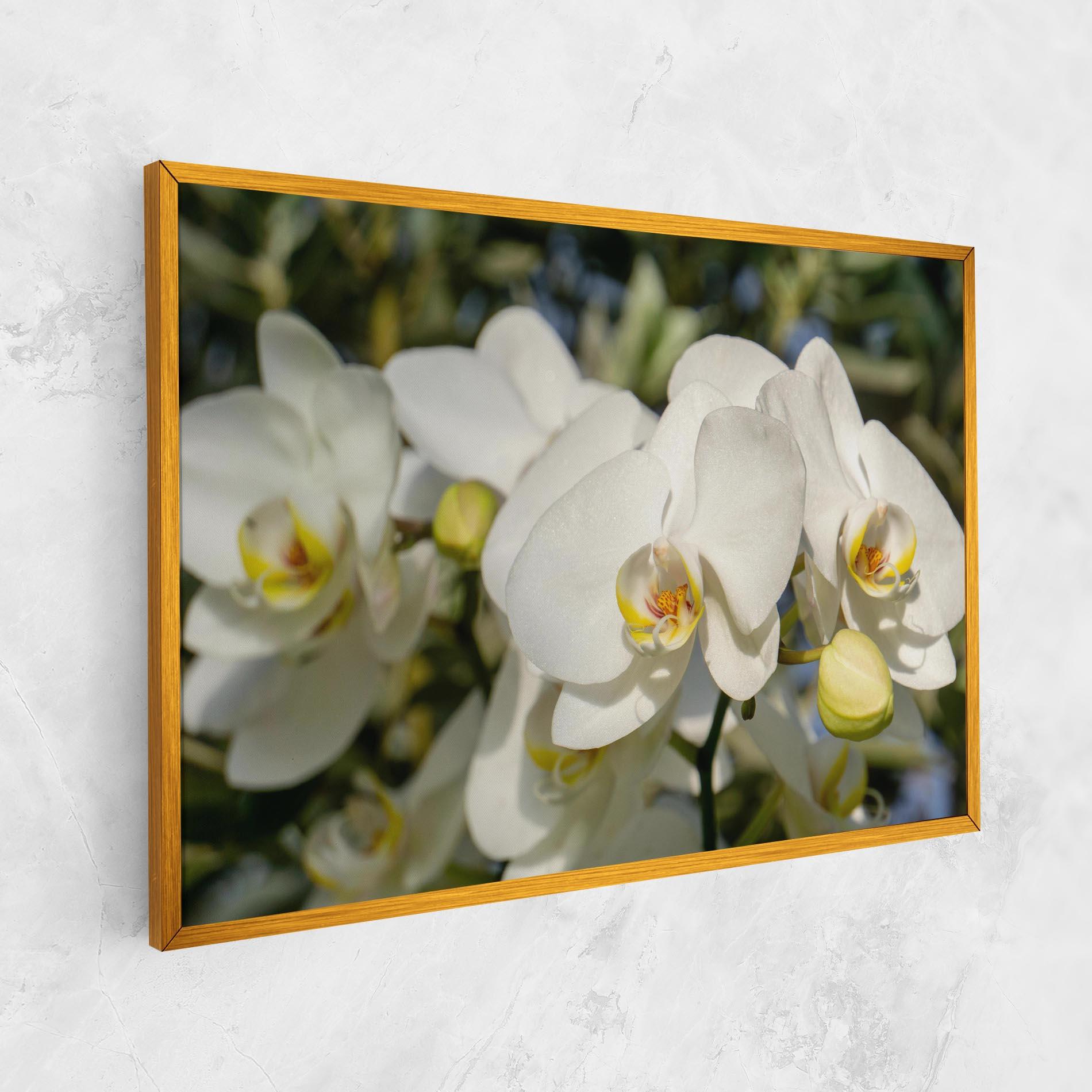 Vászonkép Big Orchids In Nature mockup 1