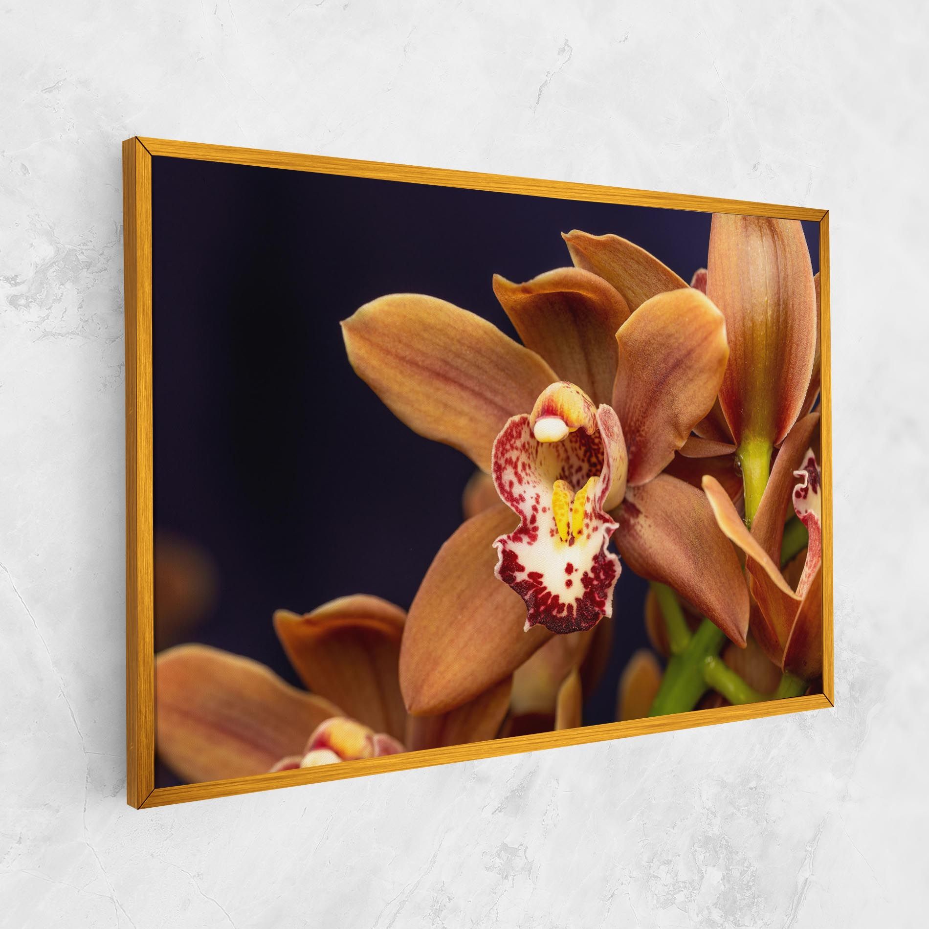 Dirty Orange Orchid mockup 1