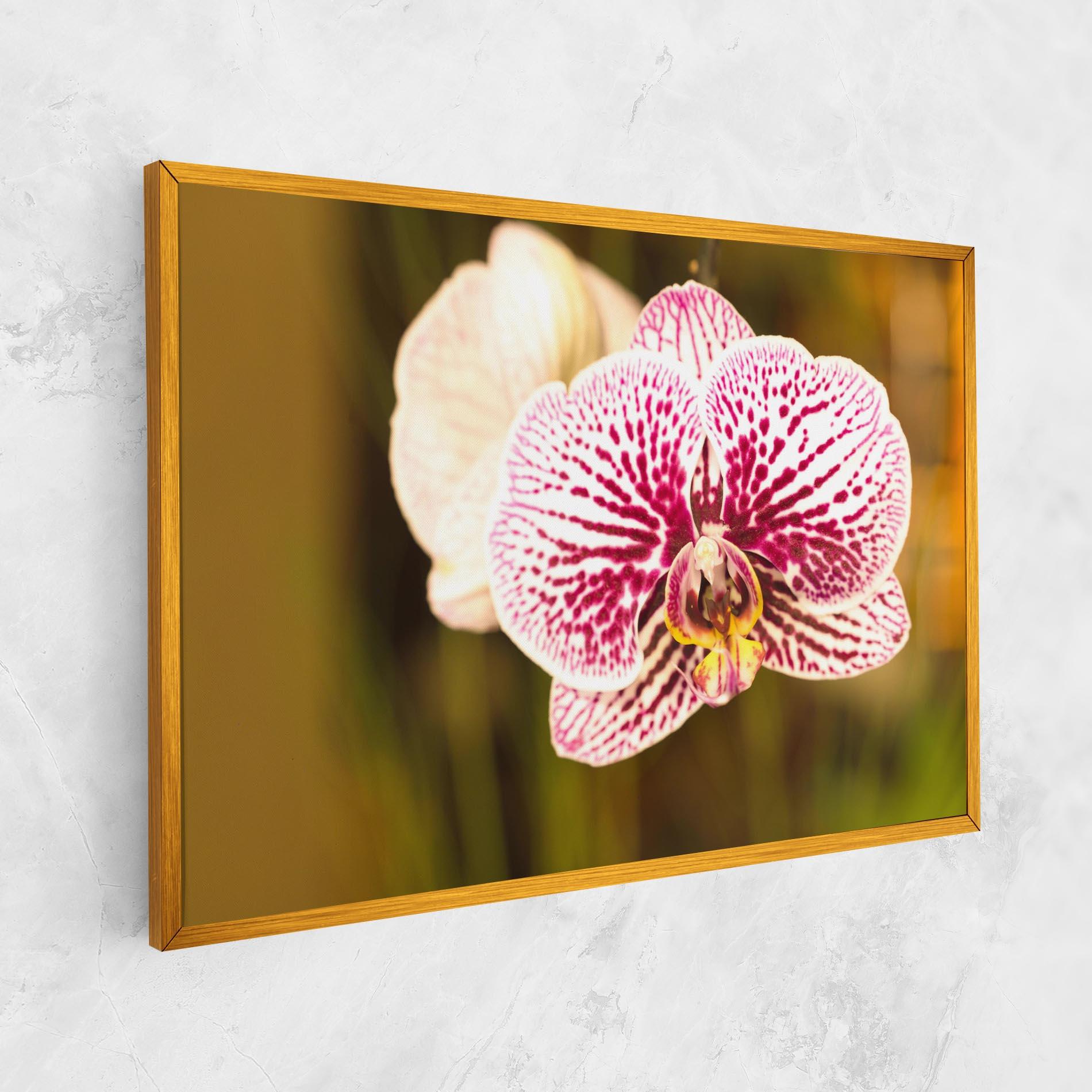Vászonkép Garden Orchids mockup 1