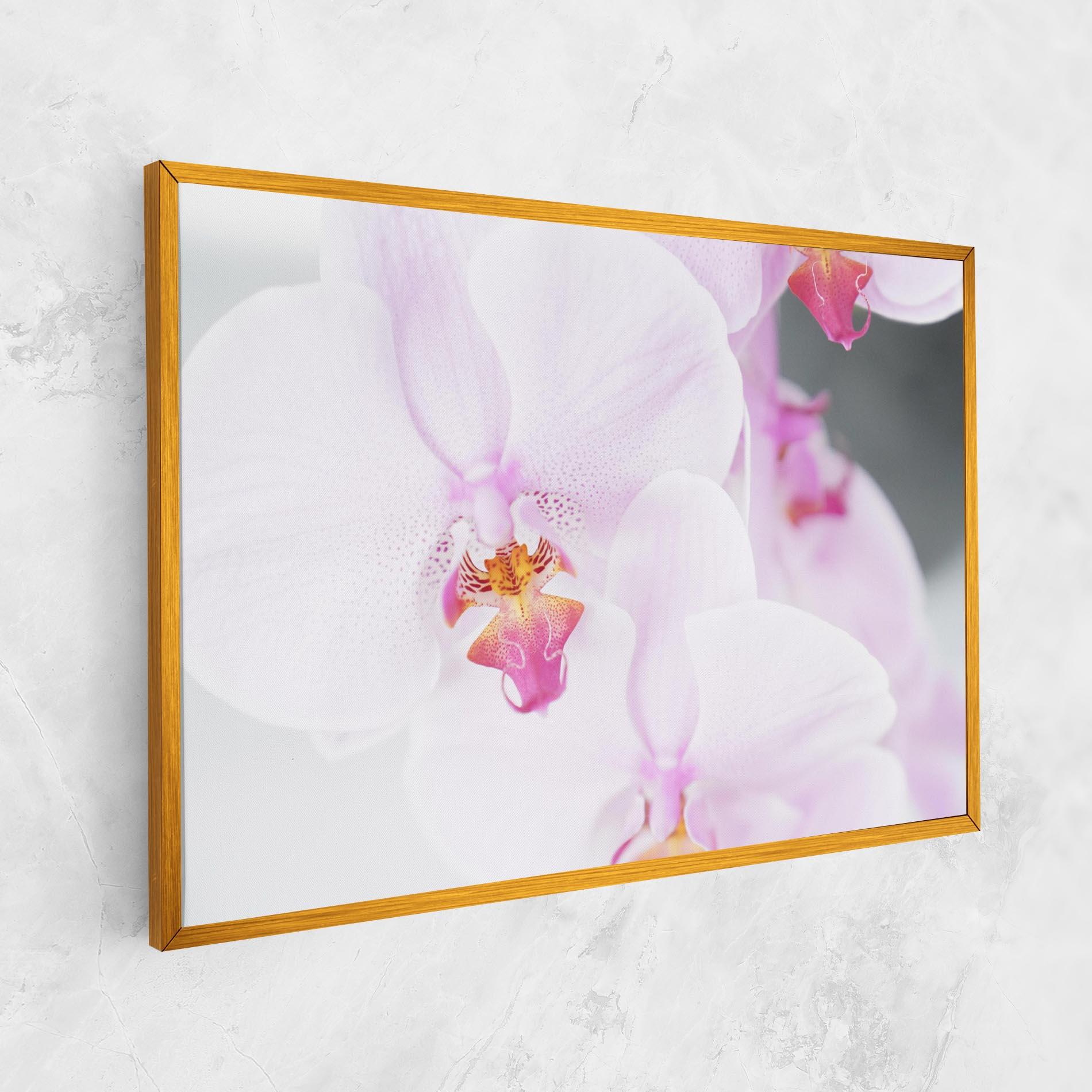 Vászonkép Light Purple Orchid mockup 1
