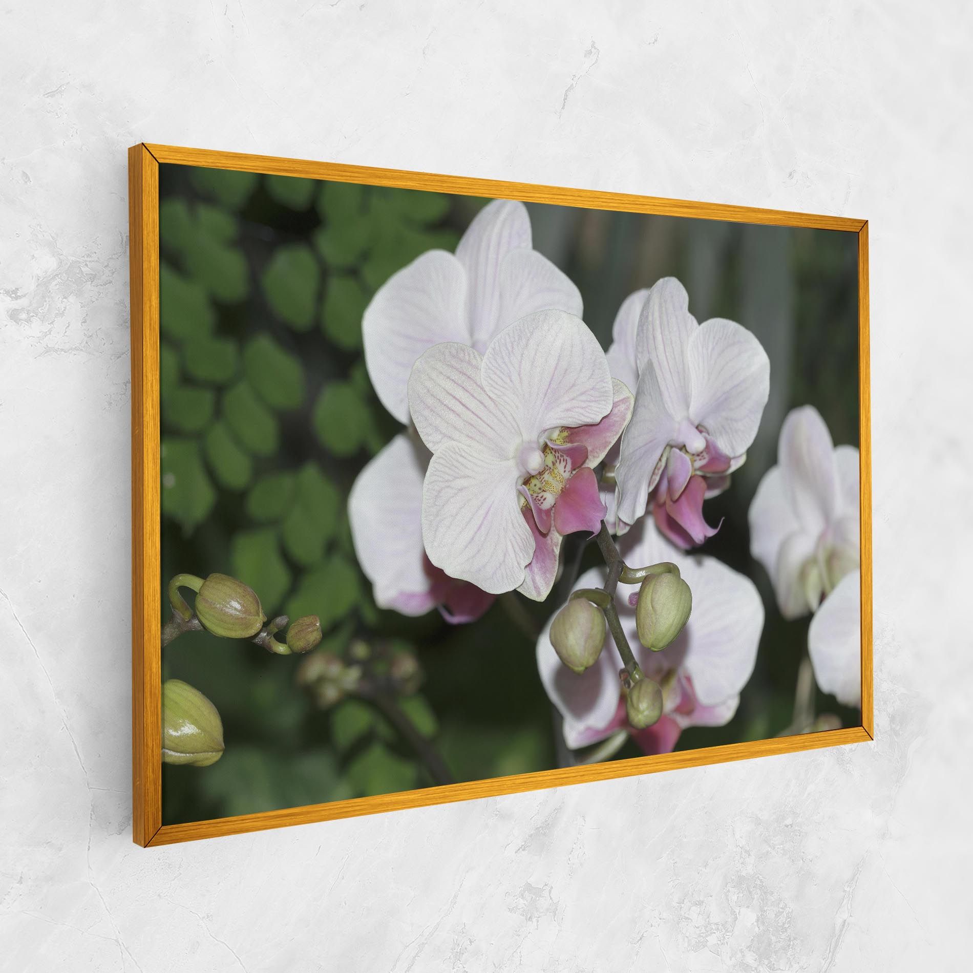 Orchid Botanical Garden mockup 1