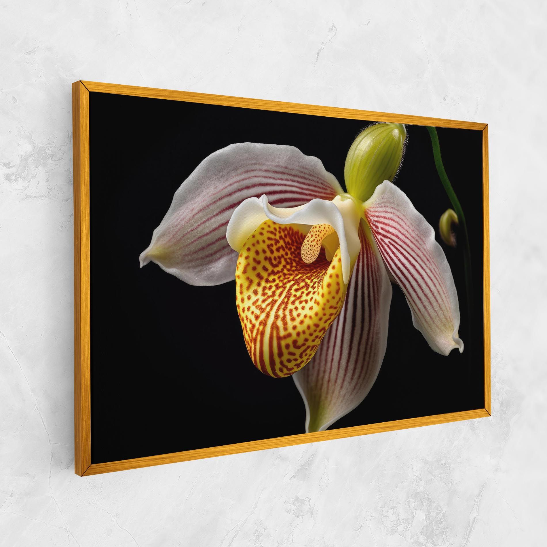 Orchid On Black mockup 1