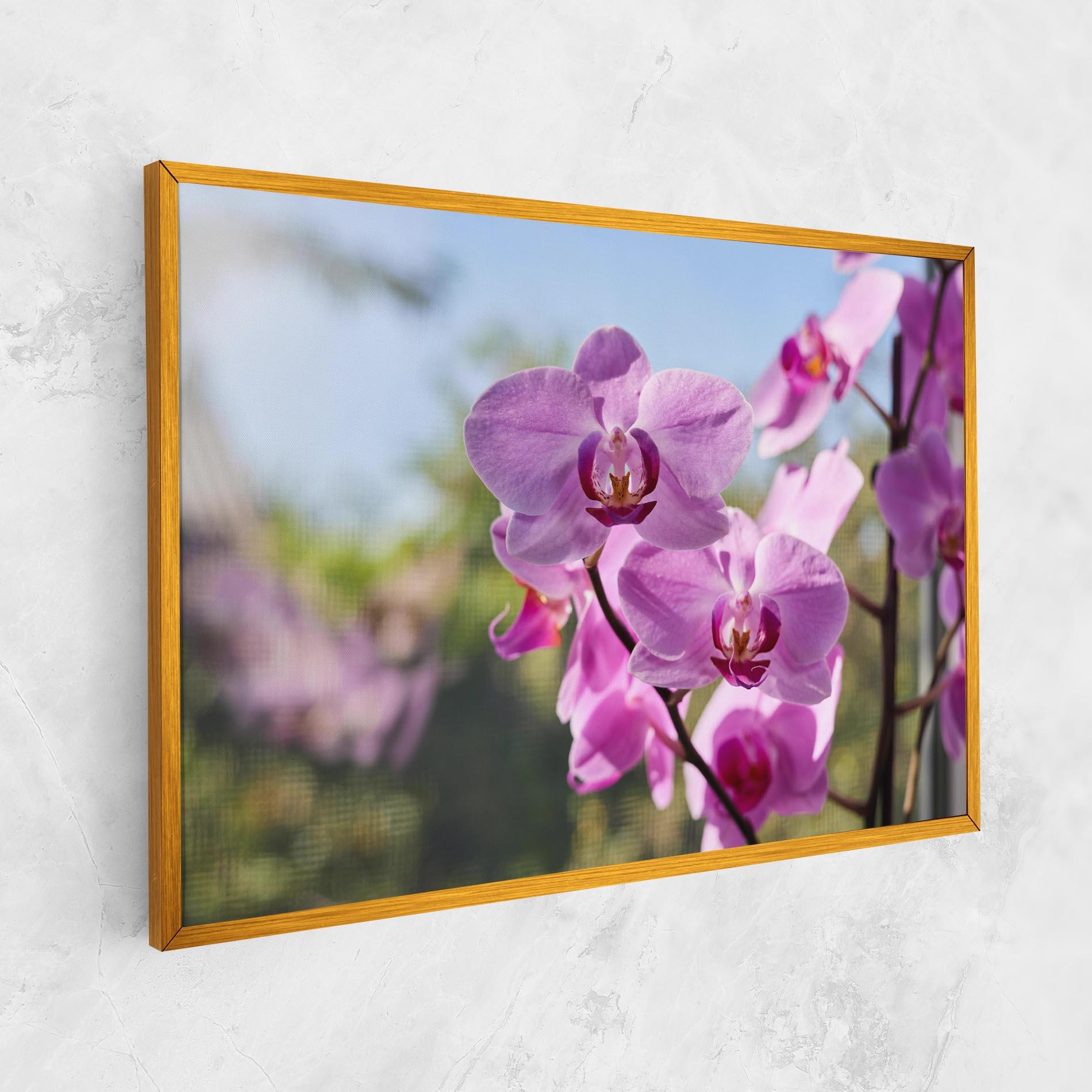 Vászonkép Orchids In The Garden mockup 1